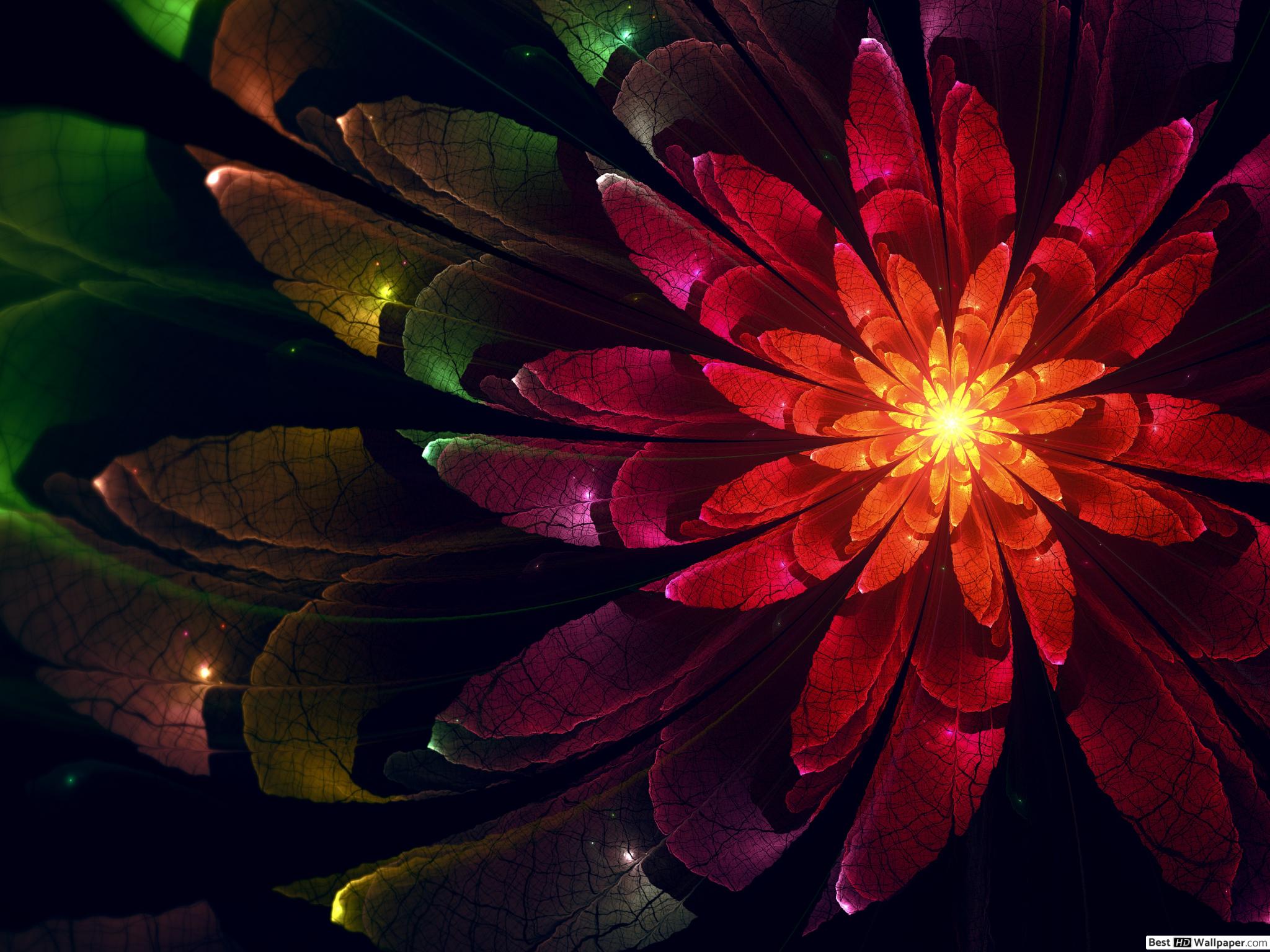 Digital fractal flower HD wallpaper download