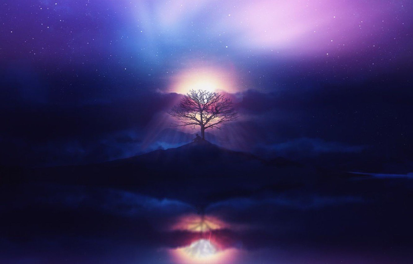 Wallpaper aurora, sky, sea, ocean, sunset, clouds, stars, tree, boy, purple image for desktop, section фантастика