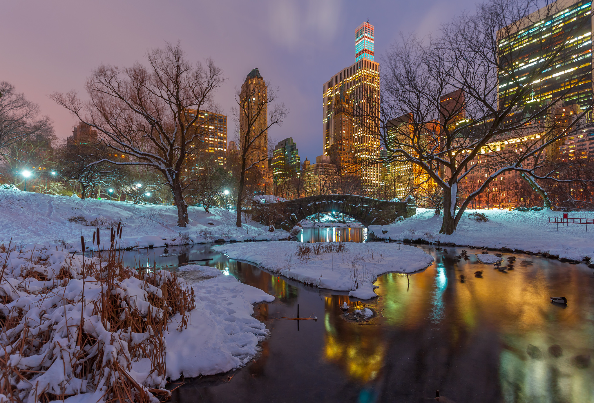 Central Park Night New York USA Winter Snow Bridge Wallpaper:2048x1391