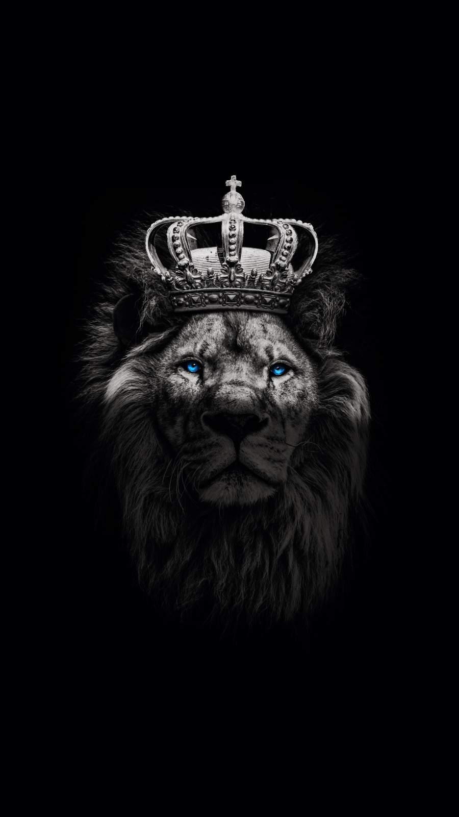 Lion King With Crown Wallpaper, iPhone Wallpaper