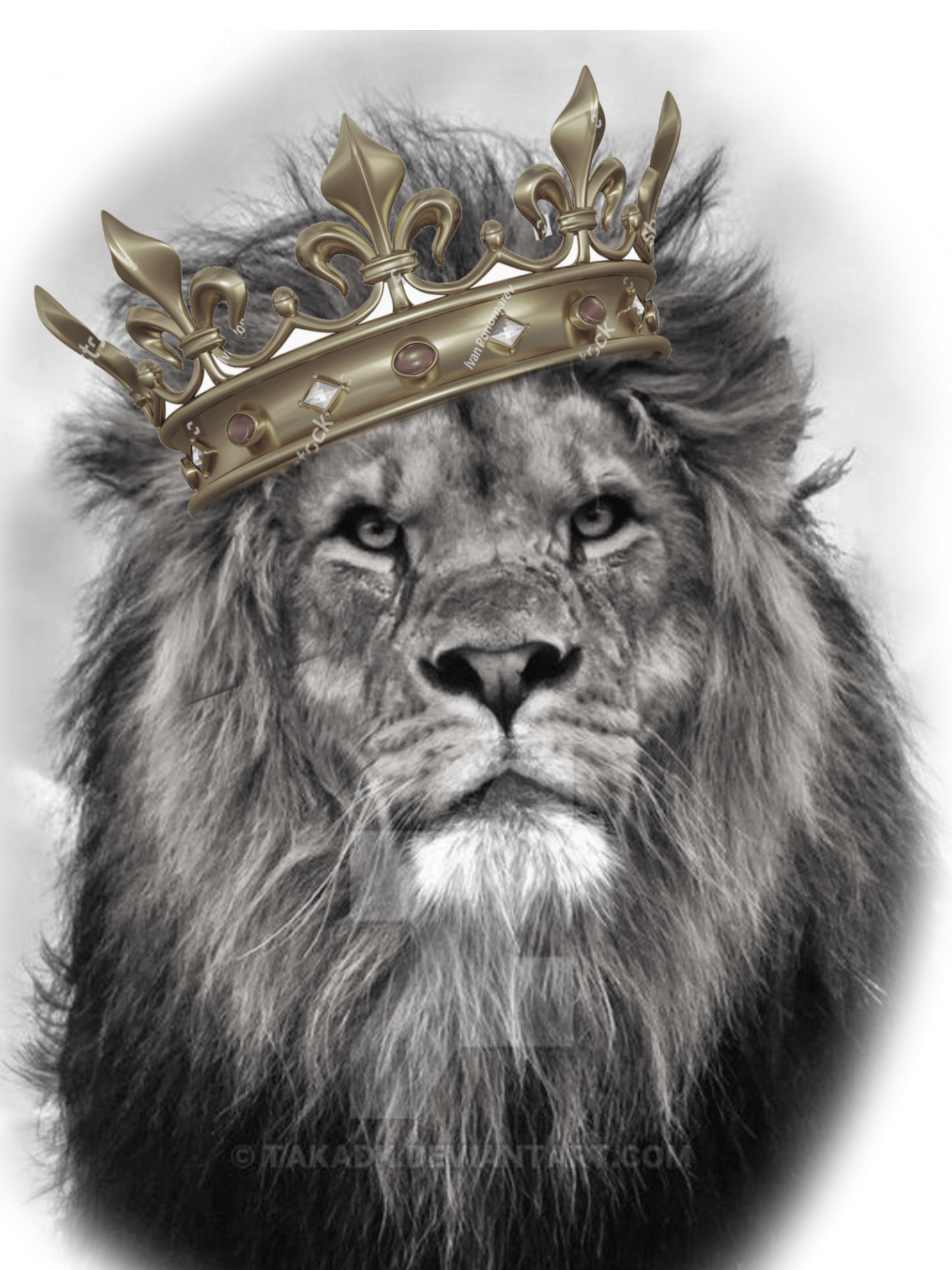 lion with crown
