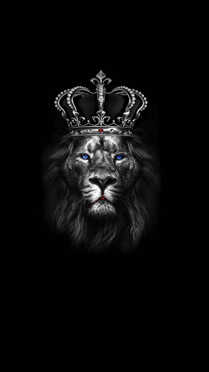 Faith. Lion wallpaper, Lion artwork, Black background wallpaper