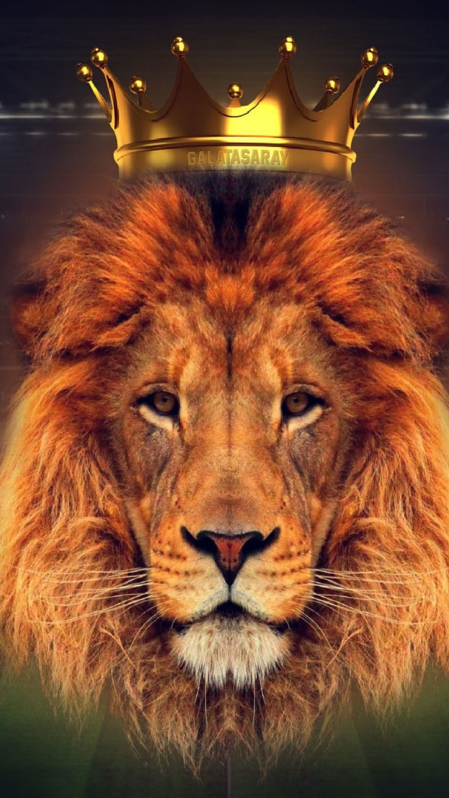 Free Download Lion King Crown Animals Wallpaper
