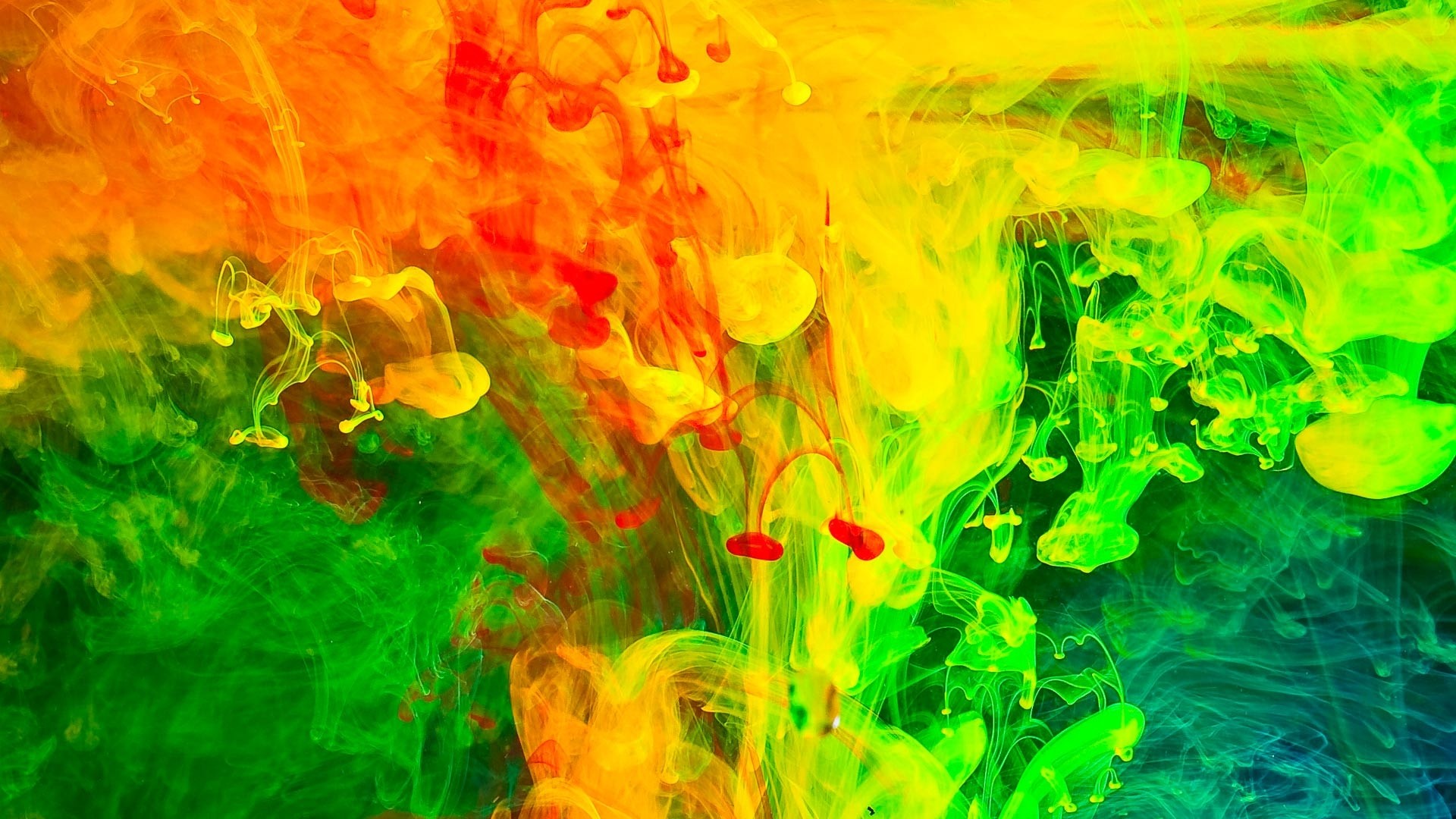 Paint Splash Wallpaper