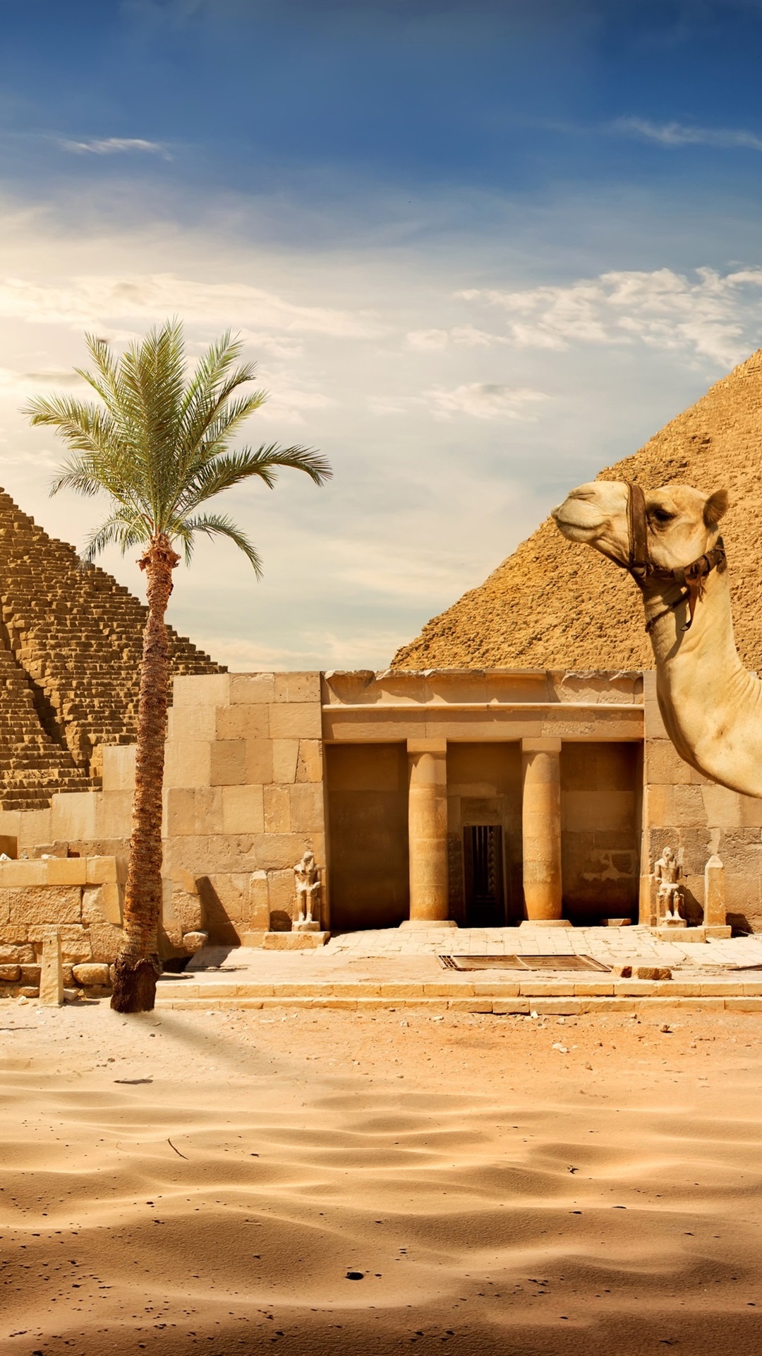 Wallpaper Cairo, pyramid, camel, sands, palm tree, sun, Egypt 3840x2160 UHD 4K Picture, Image