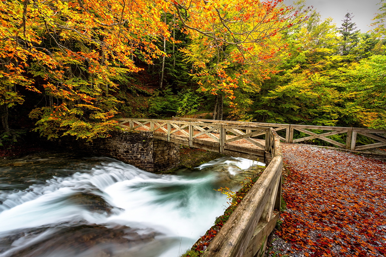 Image Nature Autumn Bridges river