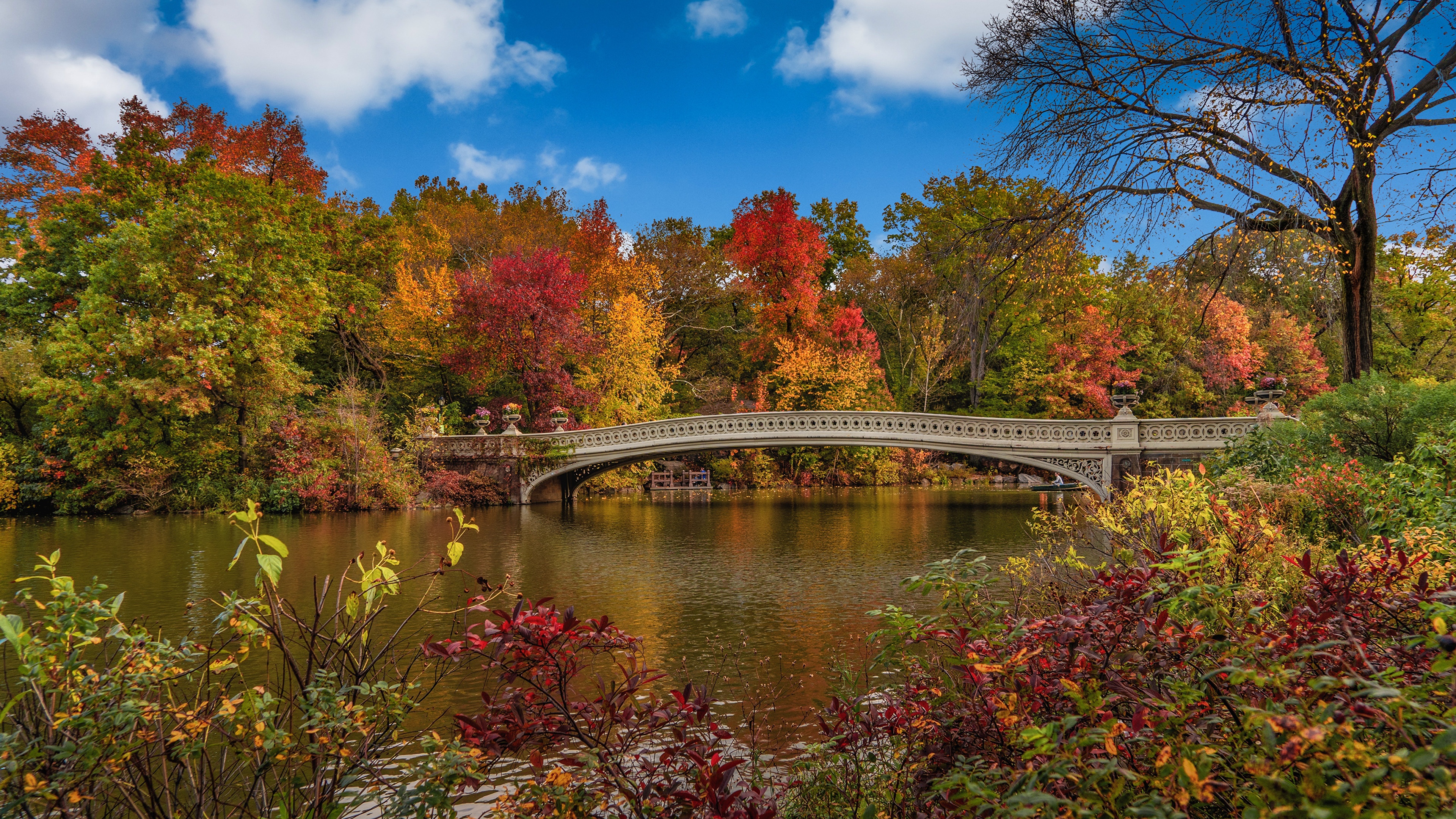 Picture Nature Panorama USA Autumn Bridges New York City 3840x2160