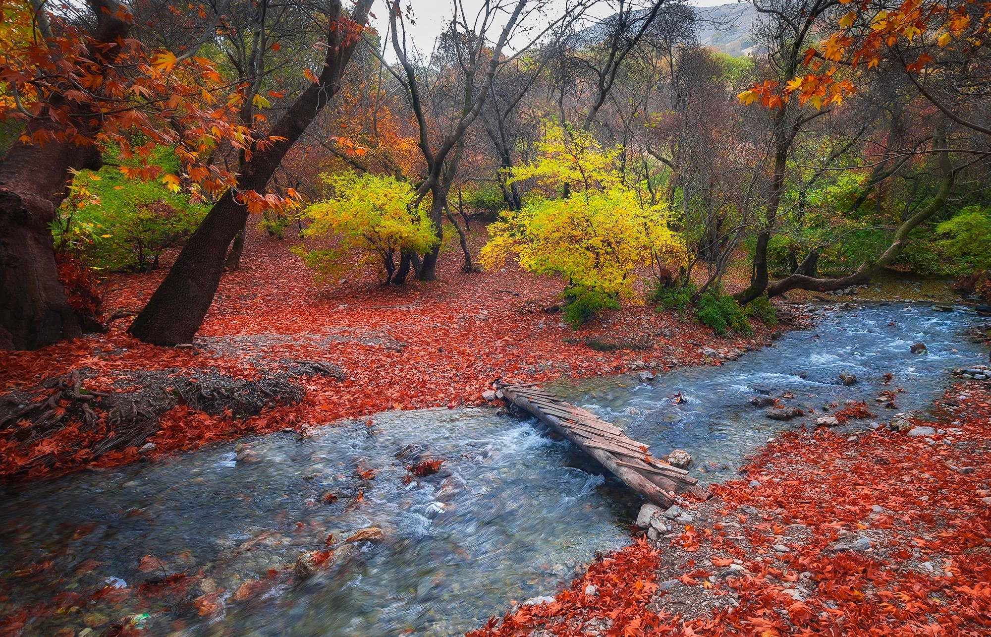Autumn, Bridges, Stream. Mocah HD Wallpaper