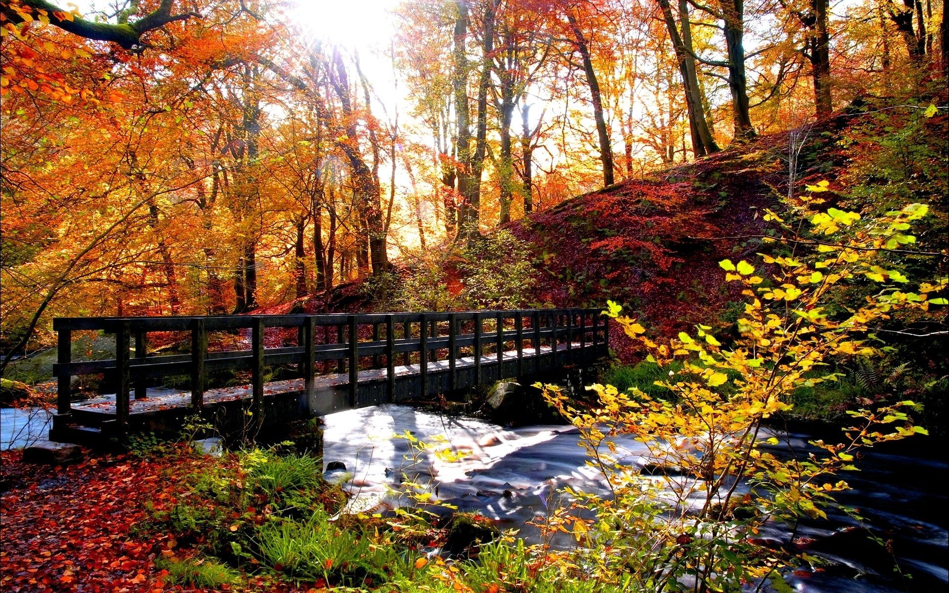 Autumn Bridges Wallpapers Wallpaper Cave 