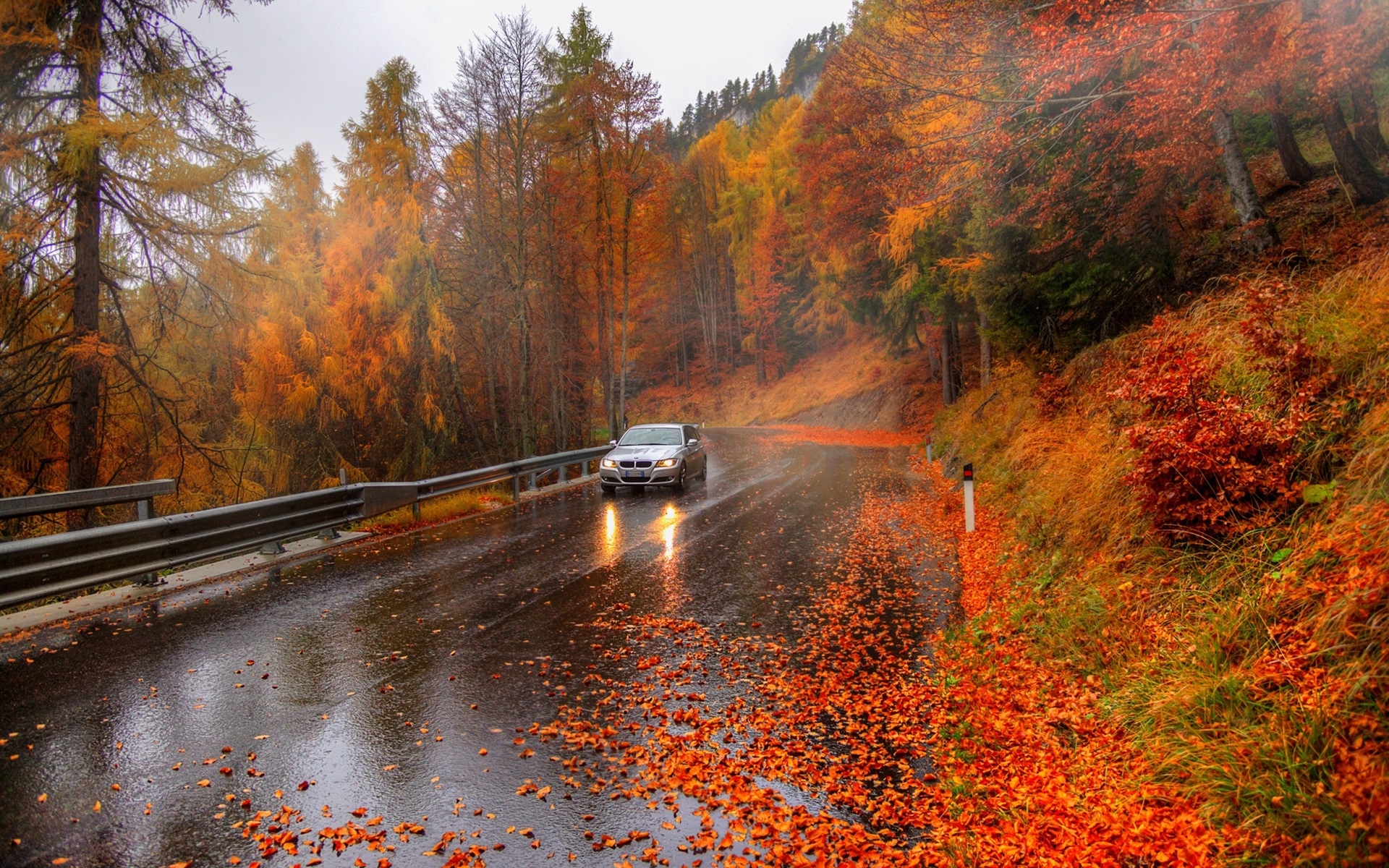 Wallpaper Autumn, trees, road, car, Alps, Italy 1920x1200 HD Picture, Image
