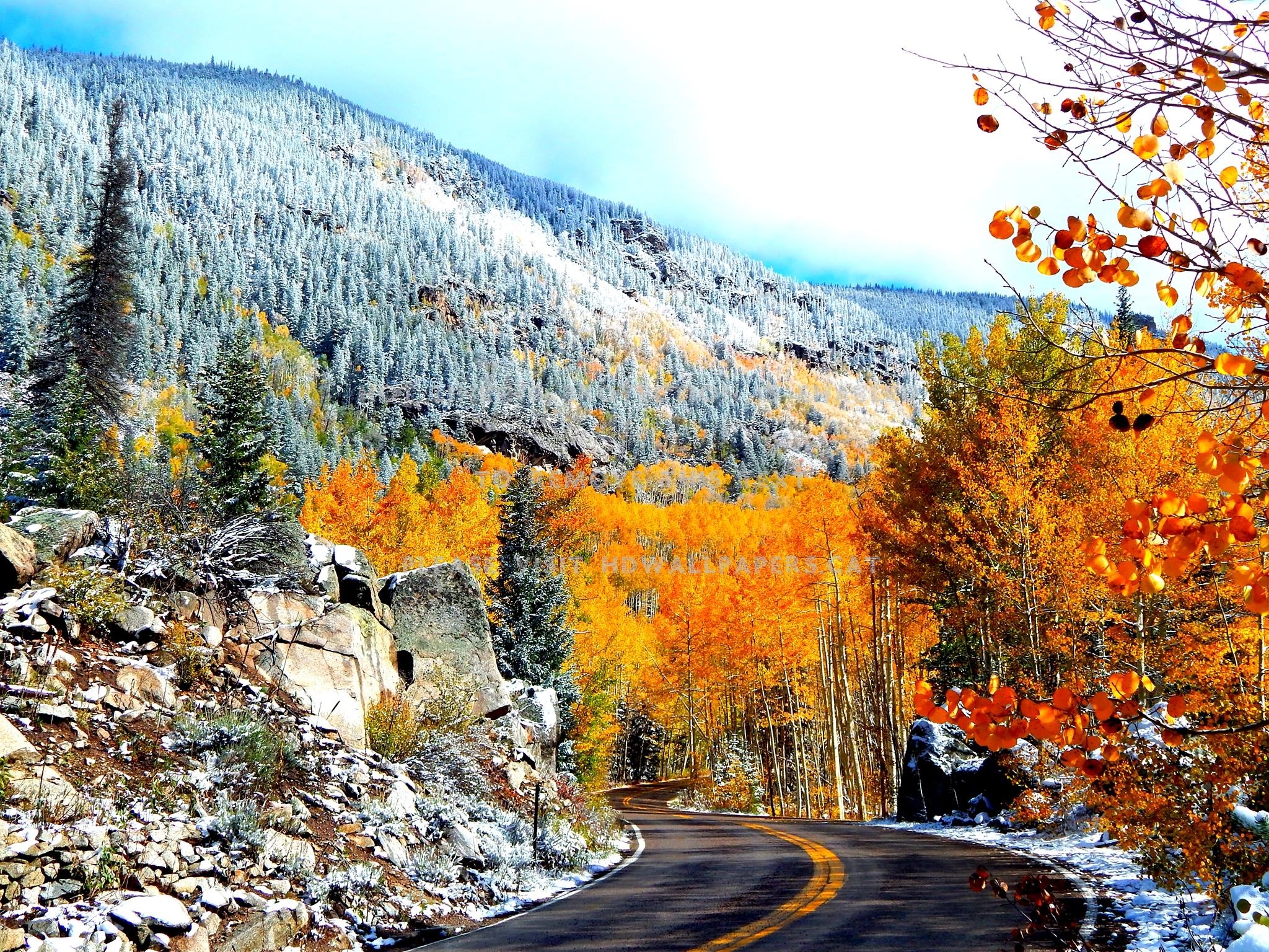 Colors Of Aspen Colorado Road Fall Trees Aspen Colorado Road HD Wallpaper