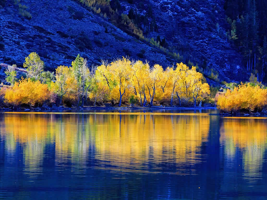 Fall Colors in Marble