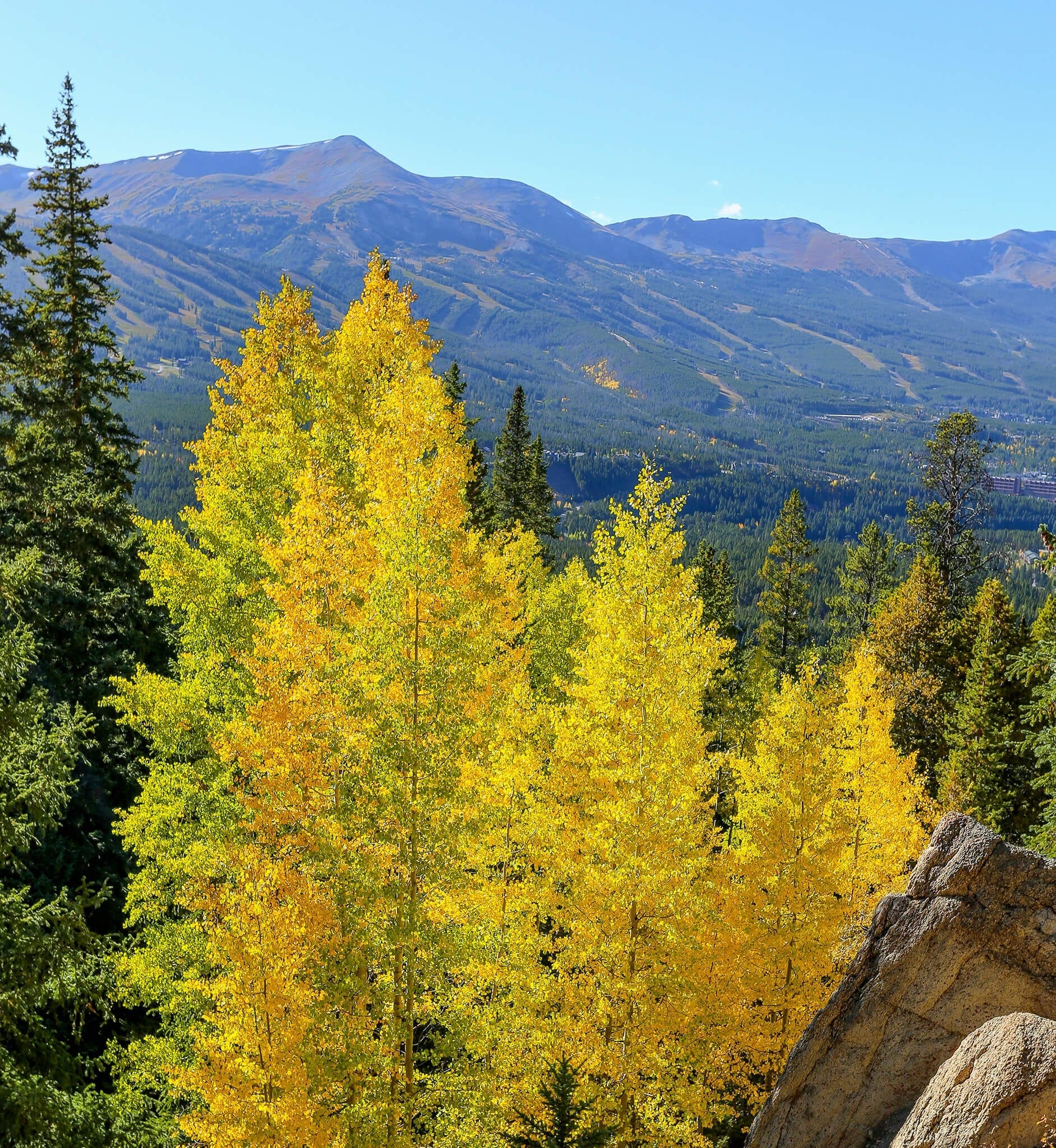 The Ultimate Fall Leaf Peeping Guide To Breckenridge, Colorado