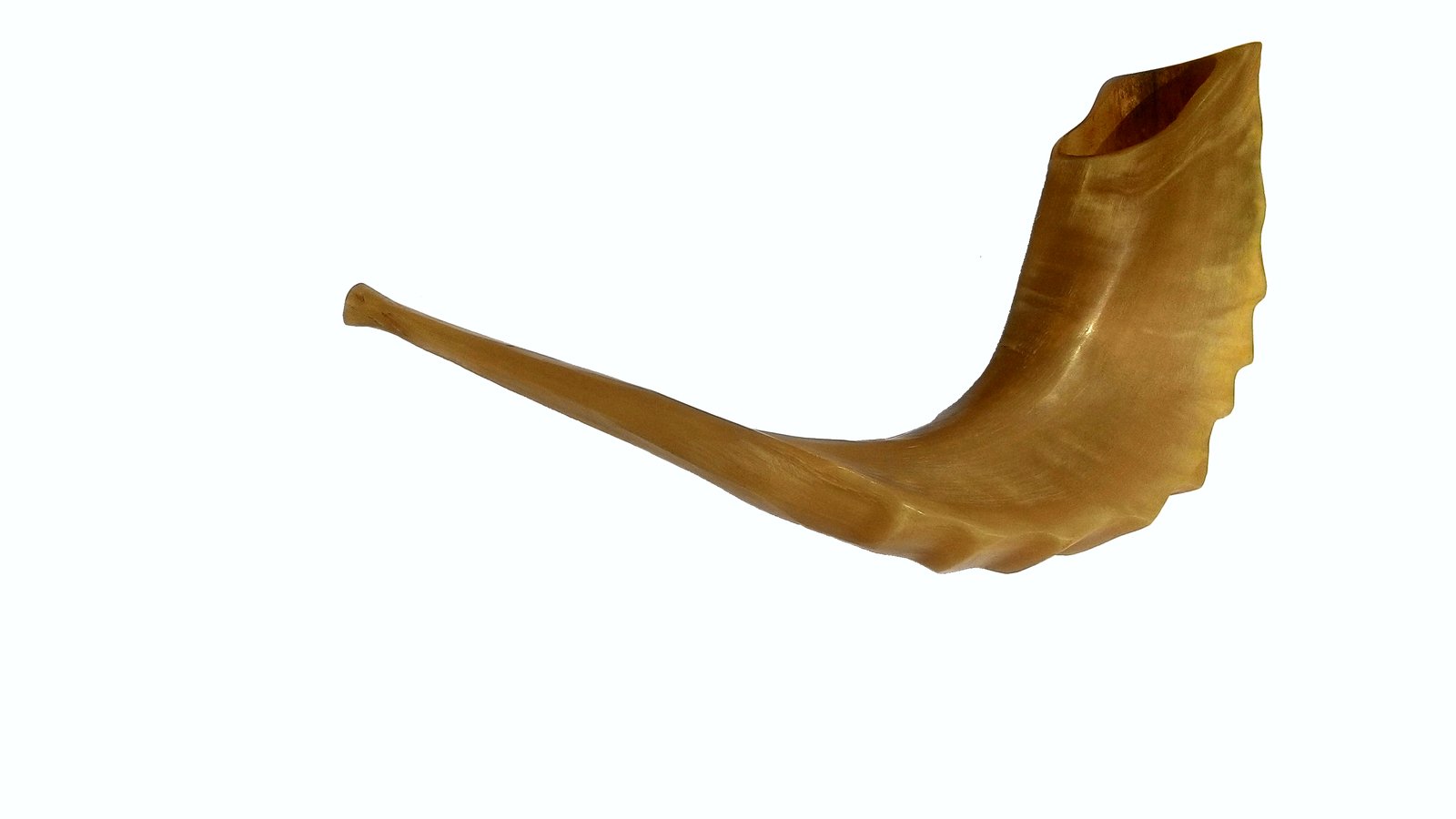Free Shofar Image, Picture, And Royalty Free