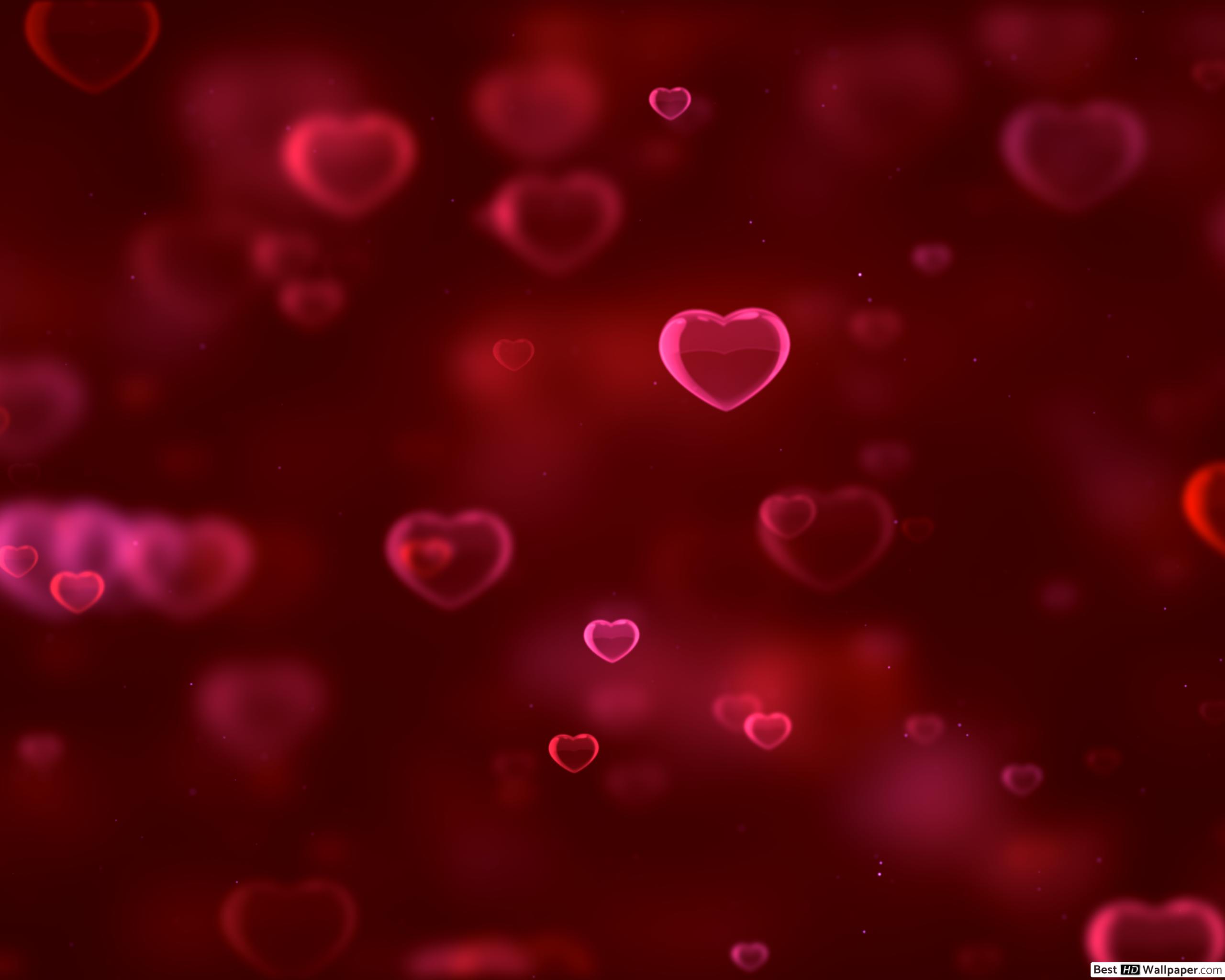 Valentine's day hearts bubbles HD wallpaper download