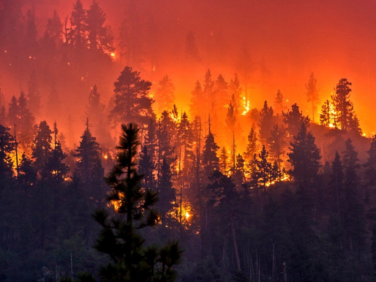 surreal image captured by a photographer who chases wildfires. Fire photography, Nature photography, Image of california