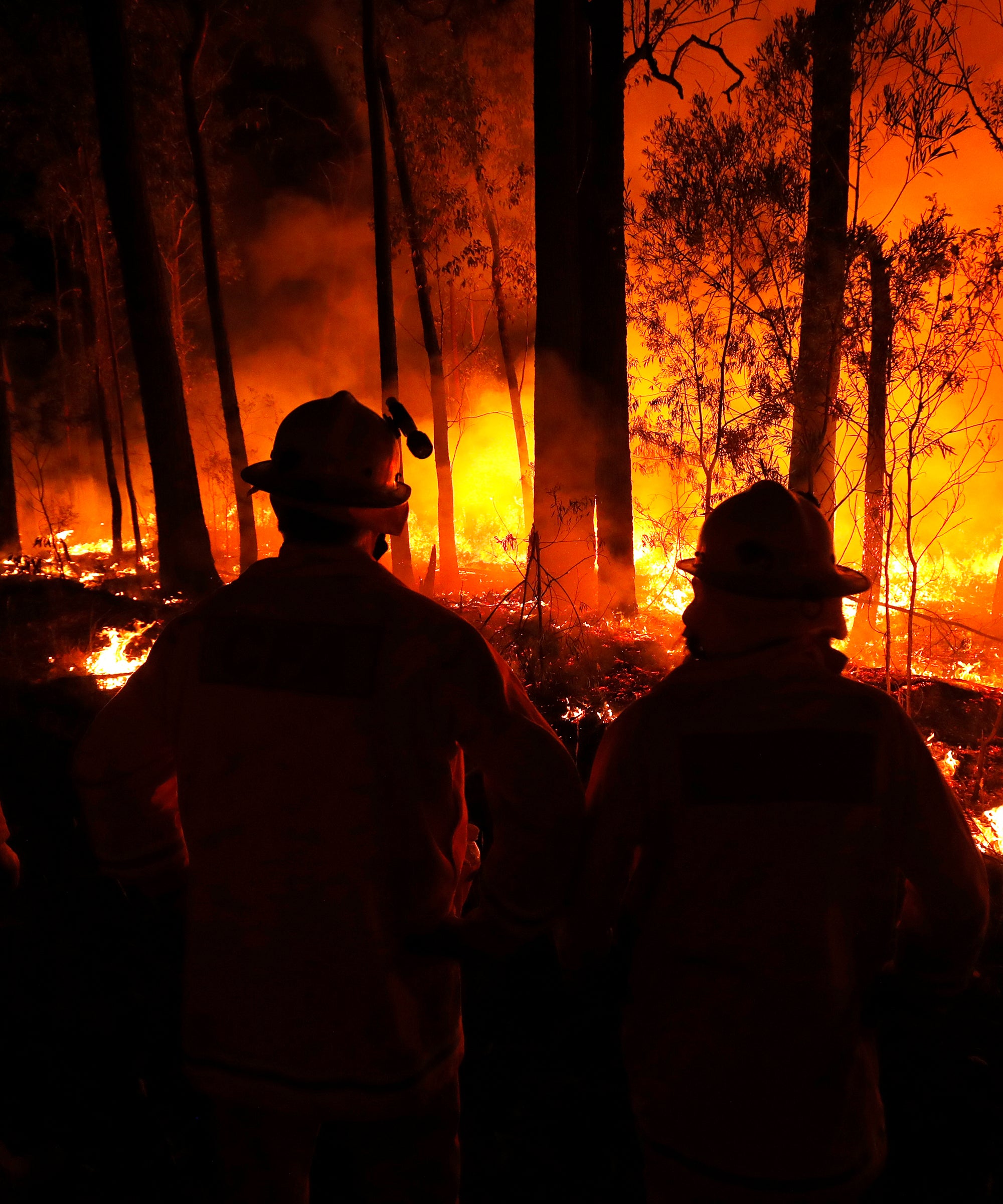 How To Help With Extreme Bushfires In Australia 2020