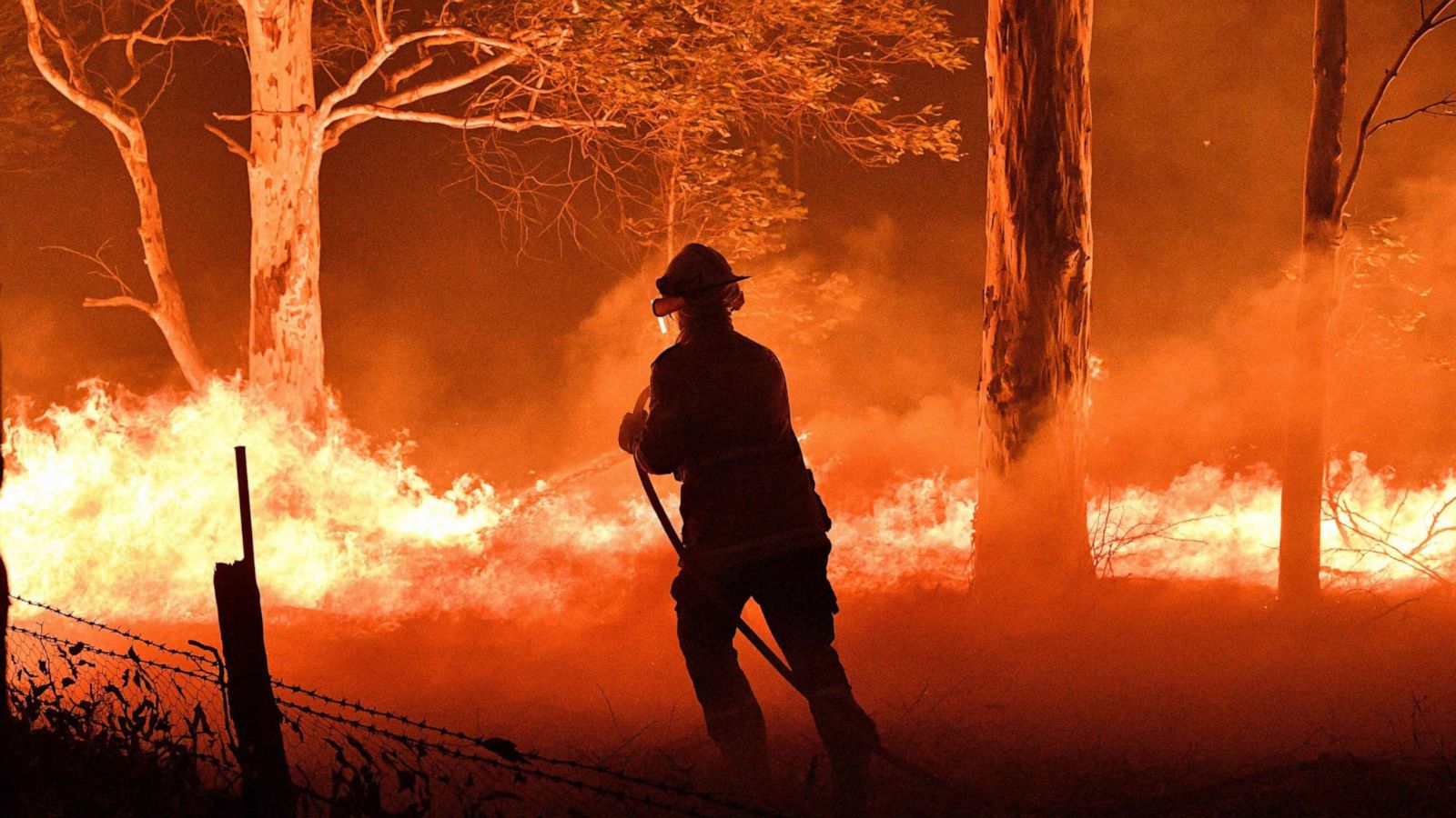 How to help support the Australian wildfires relief effort