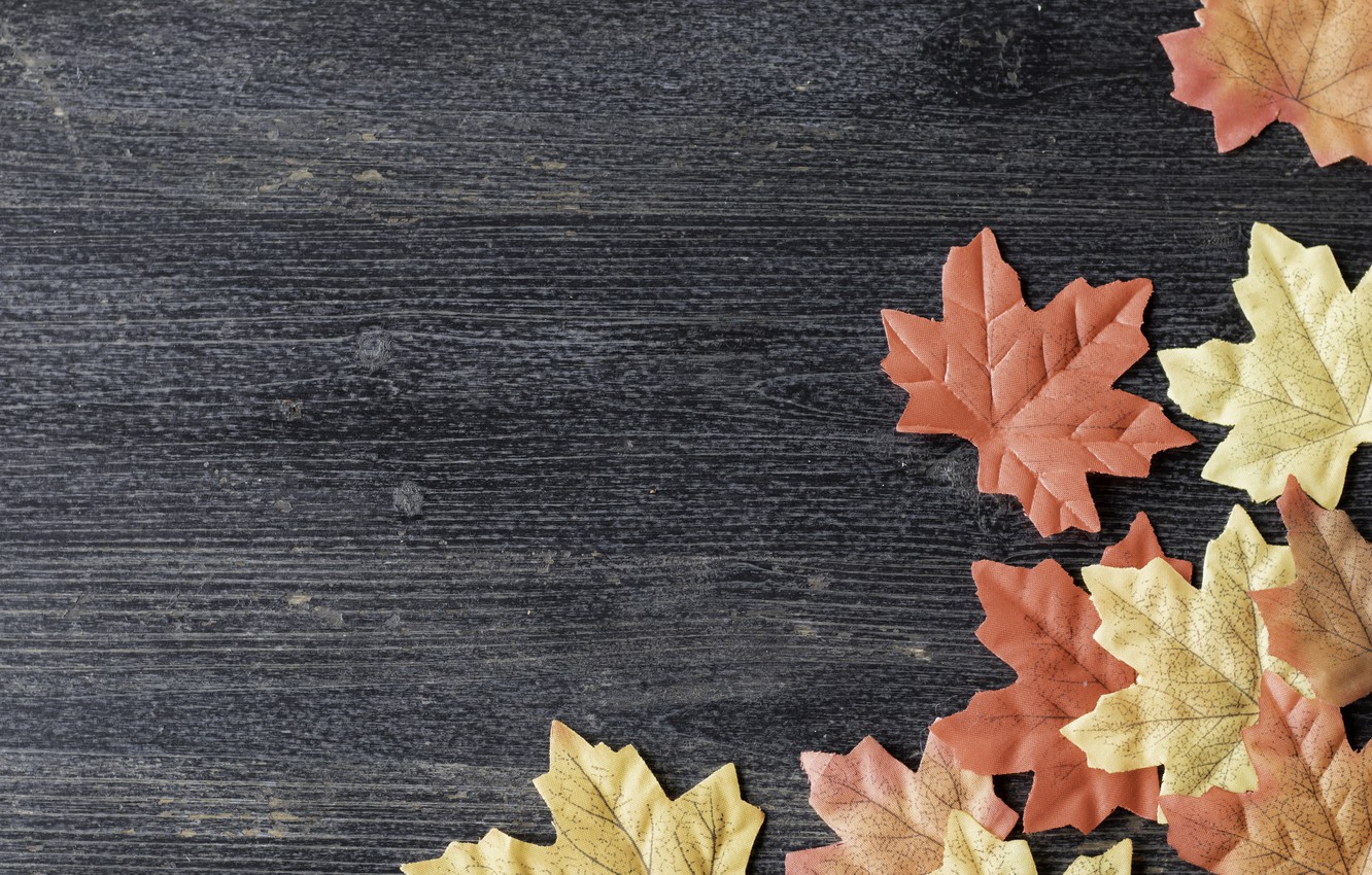 Wallpaper autumn, leaves, background, colorful, wood, background, autumn, leaves, autumn, maple image for desktop, section текстуры