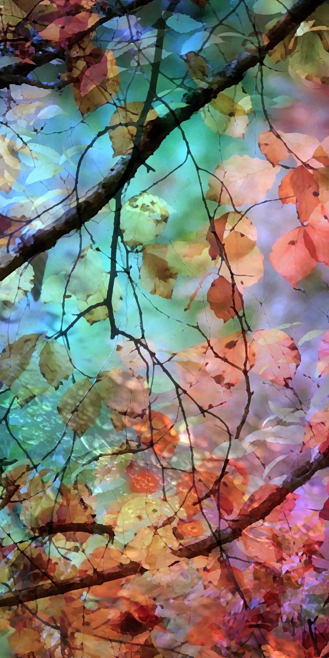 Best iphone. Autumn leaves wallpaper, Leaf wallpaper, Autumn leaves