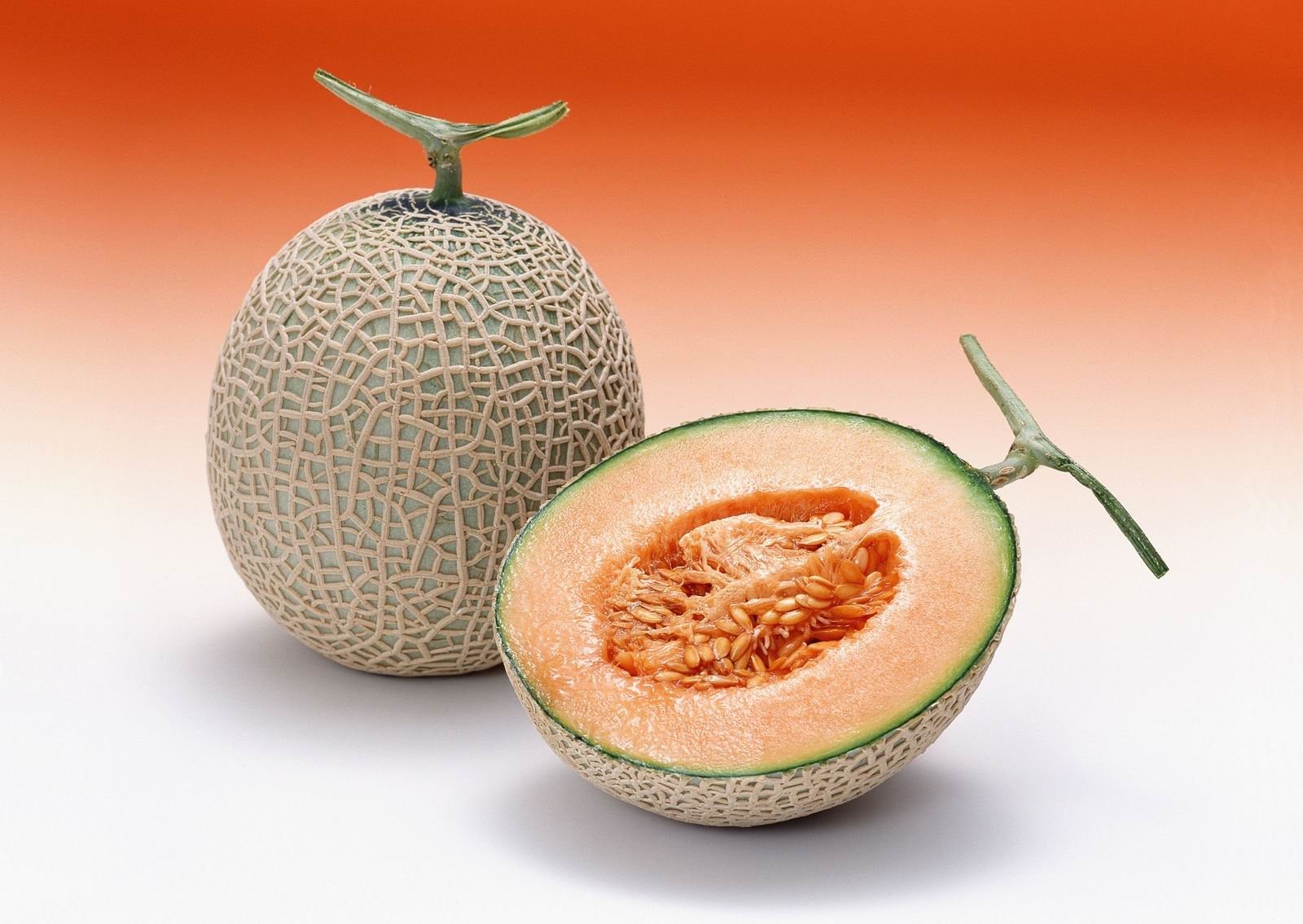 cantaloupe Wallpaper and Background Imagex1135