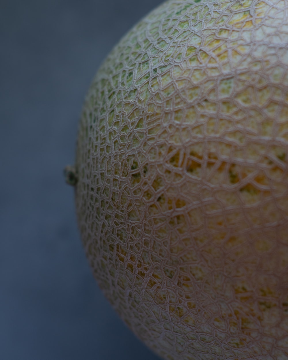 Musk Melon Picture [HD]. Download Free Image