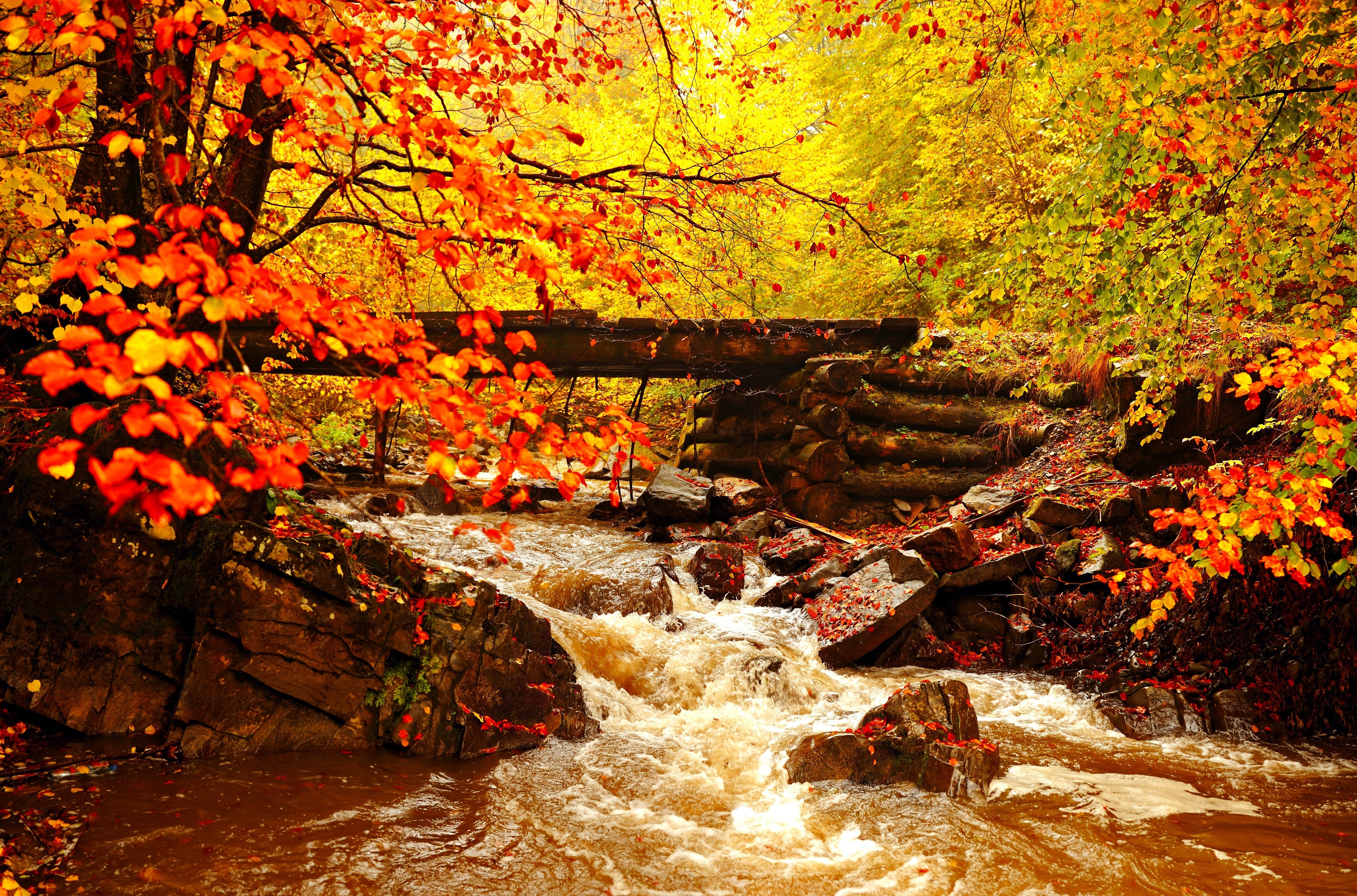 Natural Bridge and Stream in Autumn Forest 4k Ultra HD Wallpaper
