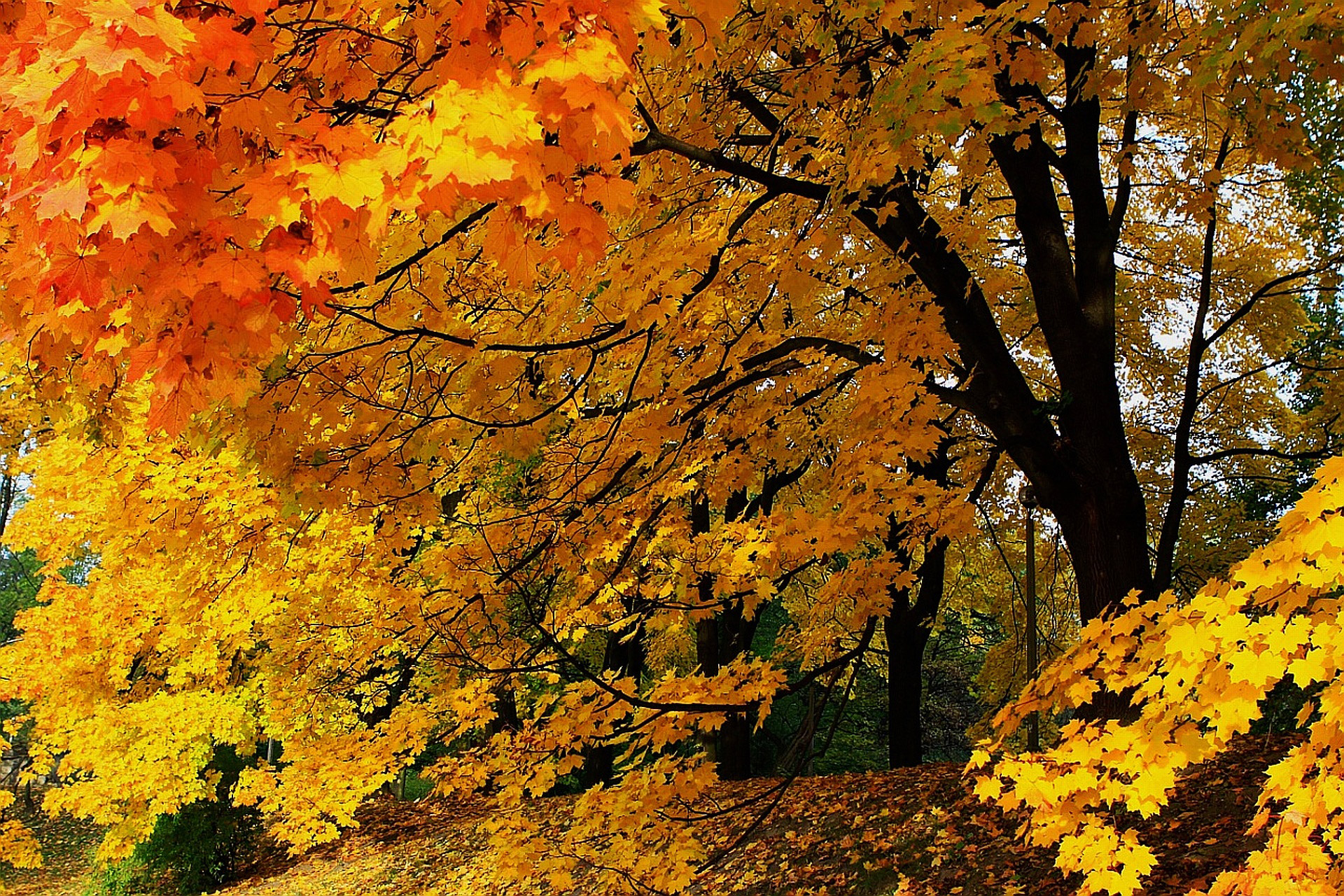 Fall Time Wallpapers - Wallpaper Cave