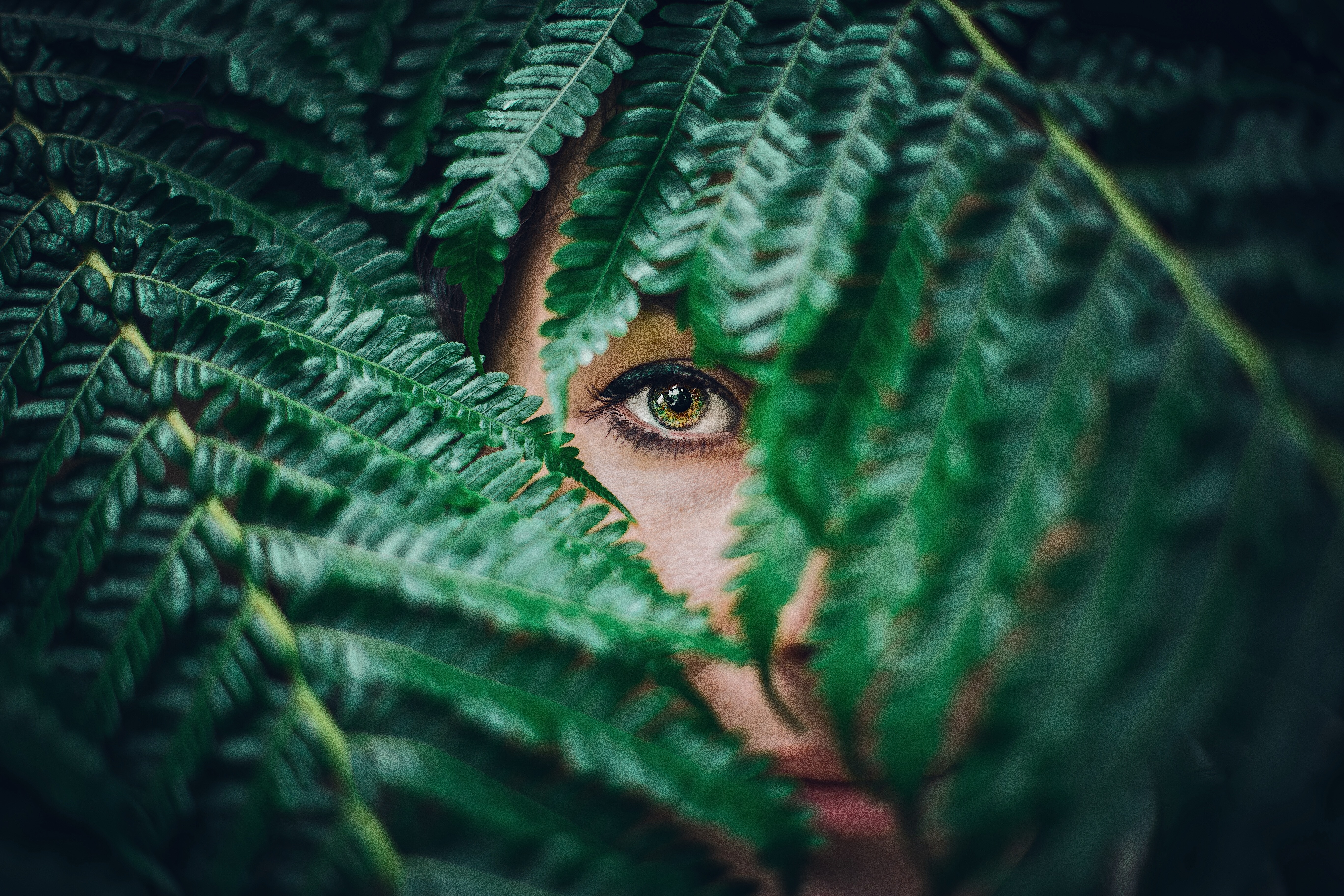 5472x3648 #face, #female, #eye, #look, #regard, #girl, #nature, #feminine, #forest, #vision, #Free image, #hd wallpaper, #green, #woodland, #fern, #woman, #portrait, #wallpaper, #leaf, #art, #plant HD Wallpaper
