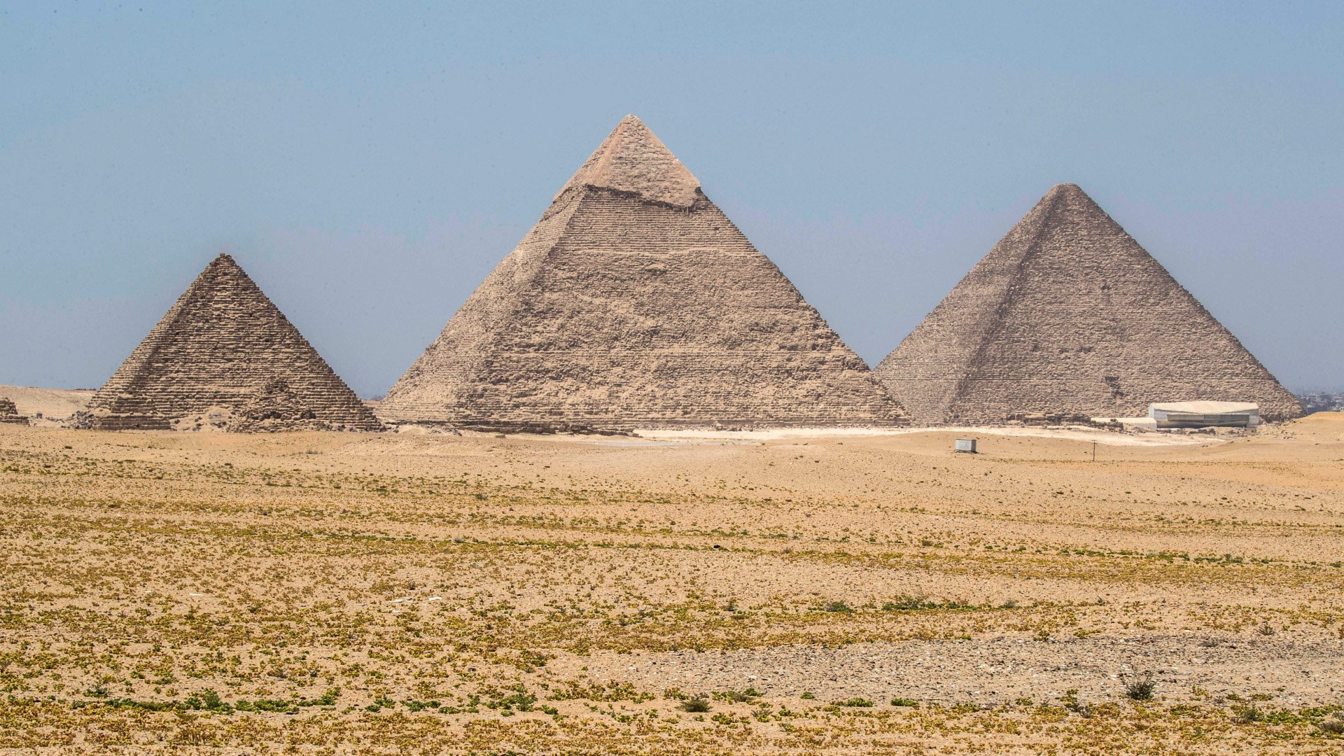 Egypt official invites Elon Musk to see pyramids after he claims they were built