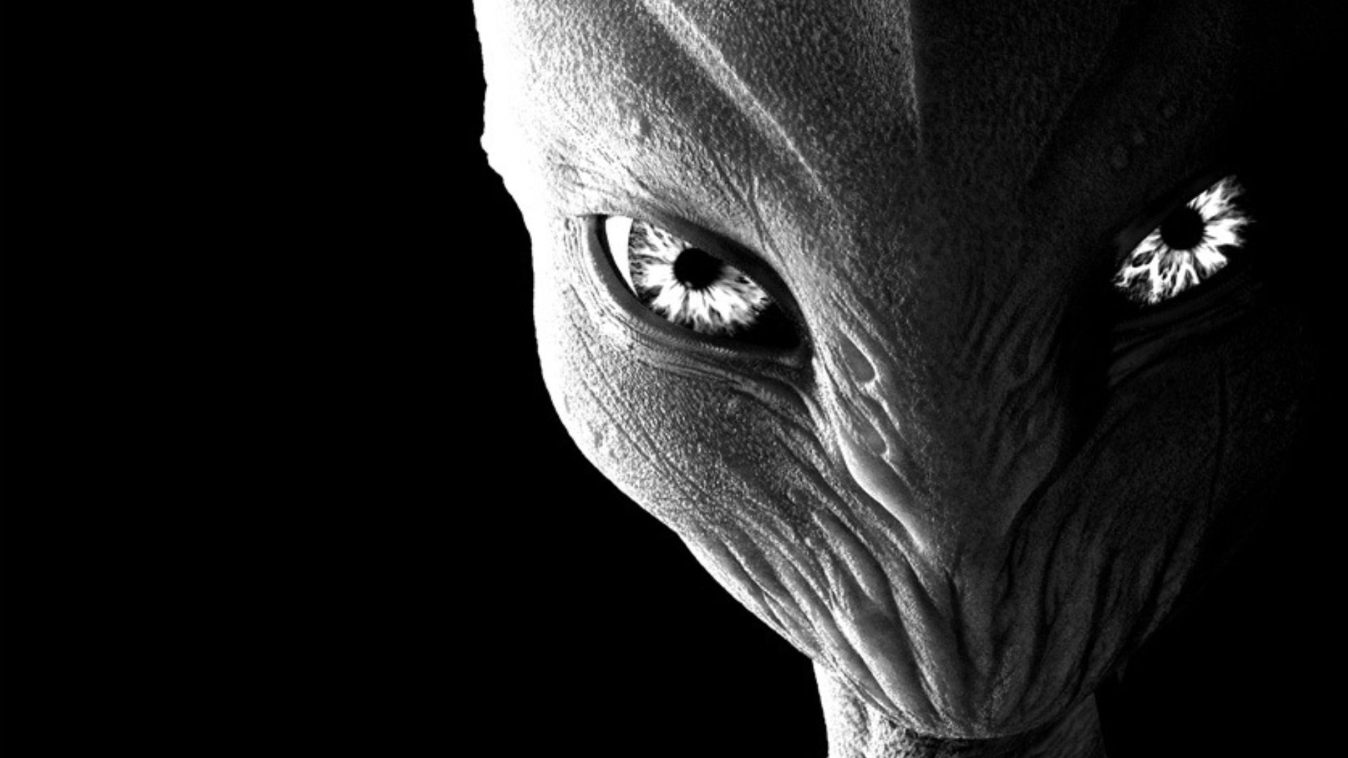 Hd Alien Wallpaper 1600×900 Alien Wallpaper (40 Wallpaper). Adorable Wallpaper. Ancient aliens, Alien picture, Alien