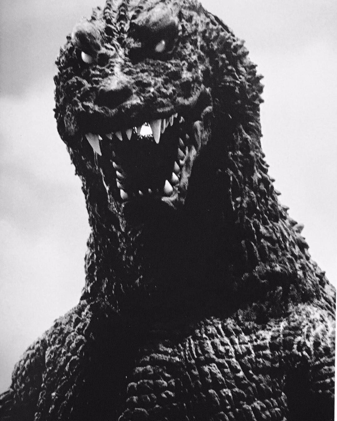 Operation G: Coming 2019! on Instagram: “#Godzilla #Godzilla2001 #GMK #GodzillaMothraKingGhidorahGiantMonstersAllOu. Kaiju monsters, Godzilla wallpaper, Kaiju art