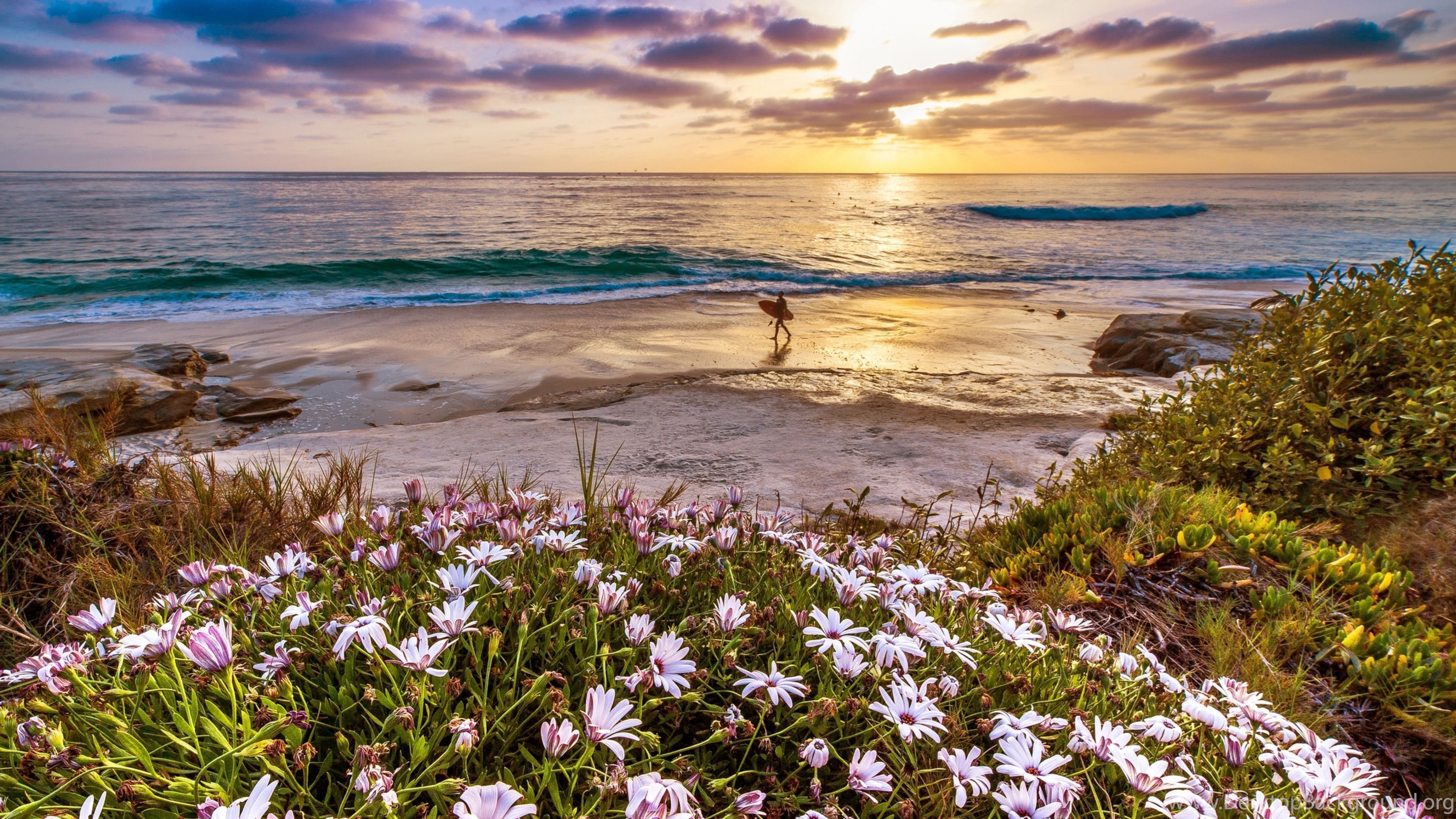 4K Ultra HD California Wallpaper HD, Desktop Background 3840x2160 Desktop Background