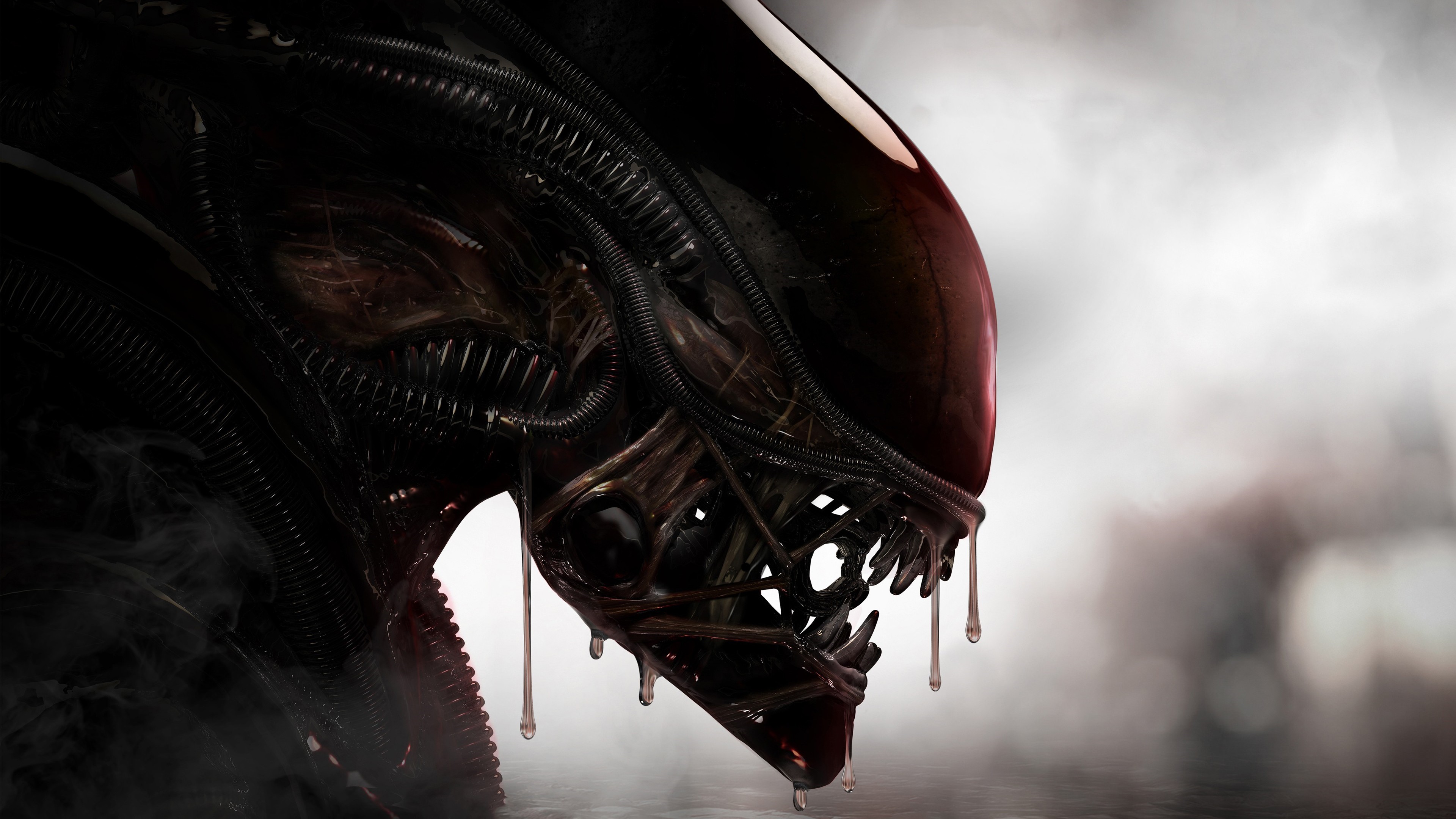 Wallpaper 4k Aliens Xenomorph Creature 4k Wallpaper