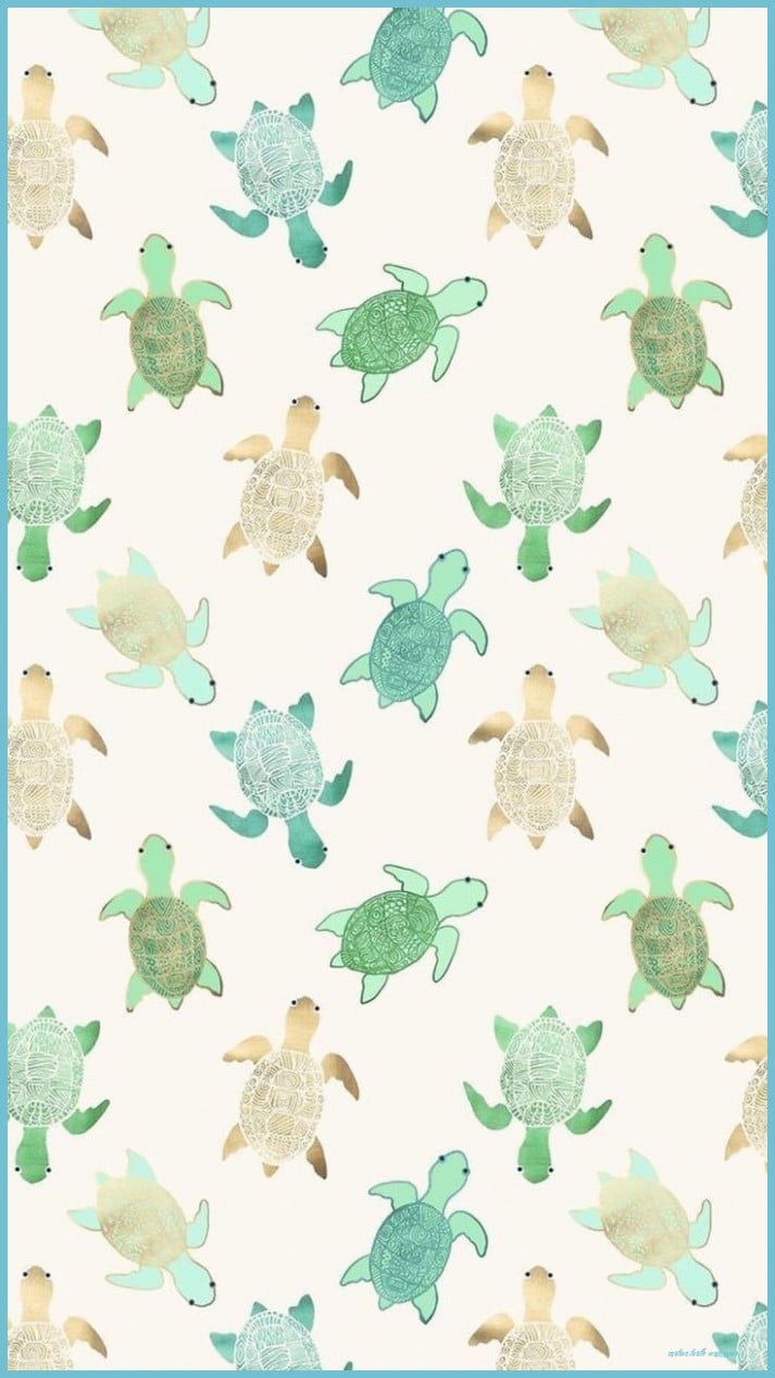 Turtle iPhone Background Wallpaper, Turtle Wallpaper, Cute Turtle Wallpaper