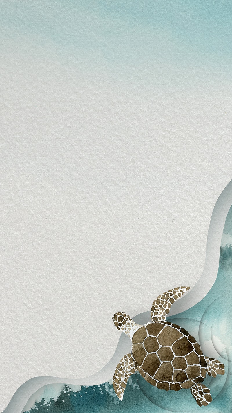 Aesthetic Sea Turtle Wallpapers - Wallpaper Cave