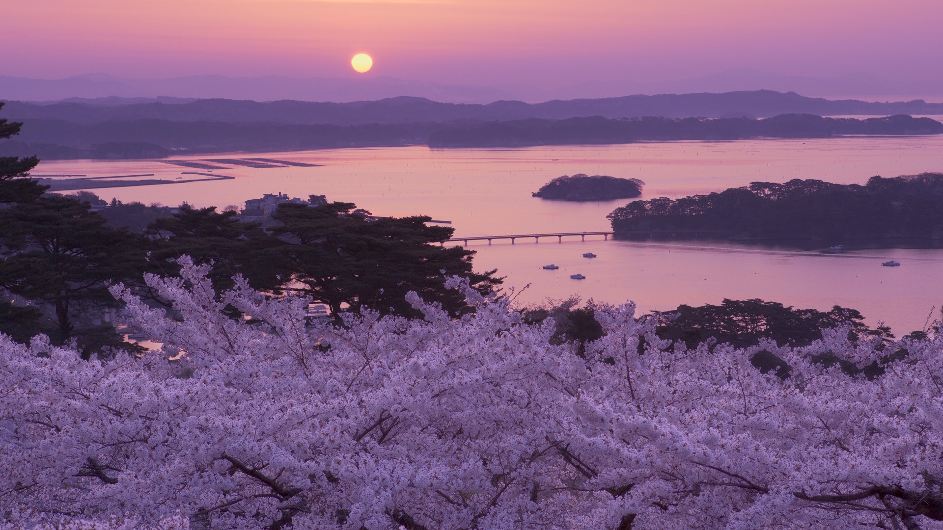 Beautiful View Of Japan