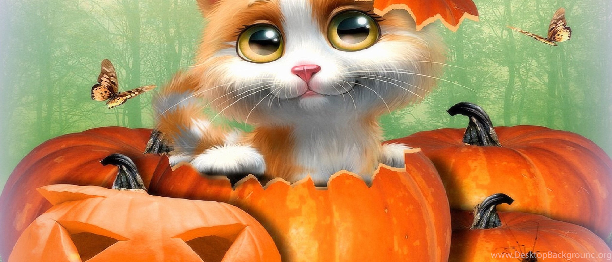 Cute Cat Halloween Desktop Background HD Wallpaper PowerballForLife Desktop Background