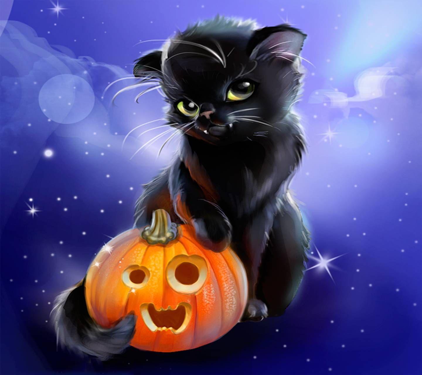 Download Halloween Kitty Wallpaper by Venus_ now. Browse millions of popular halloween Wal. Halloween cat, Halloween picture, Halloween art