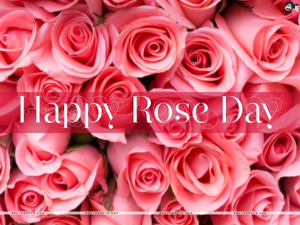 Wallpaper. HD Wallpaper. Ultra HD 4K Wallpaper for Desktop & Mobiles