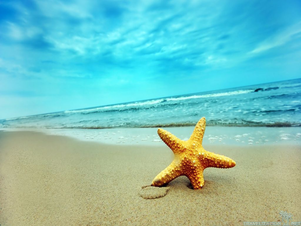 Free download Star Summer Nature Wallpaper 1024x768 pixel Nature HD Wallpaper [1024x768] for your Desktop, Mobile & Tablet. Explore Free Summer Wallpaper Background 1024x768. Beautiful Desktop Wallpaper and Background