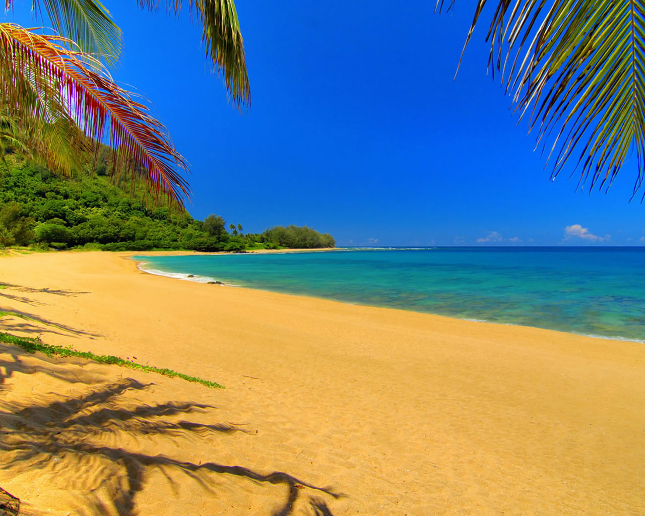 Summer Scenes Free Wallpaper