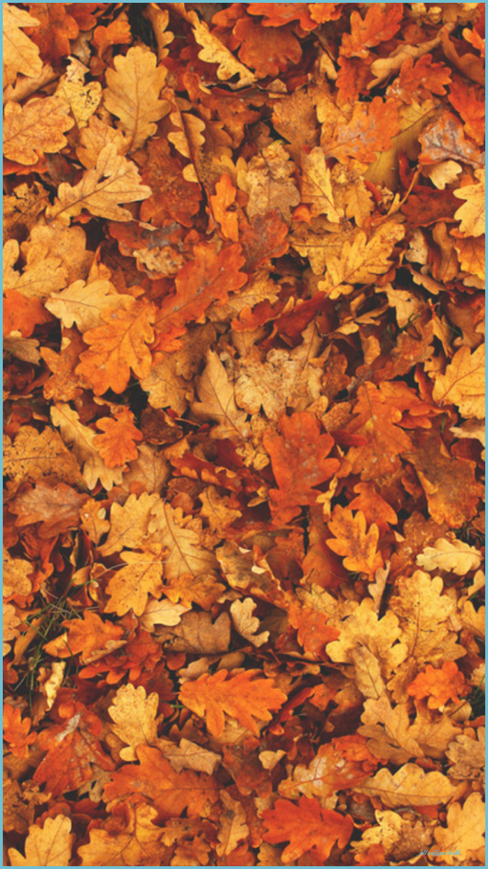 Aesthetic Vintage Autumn Wallpapers - Wallpaper Cave