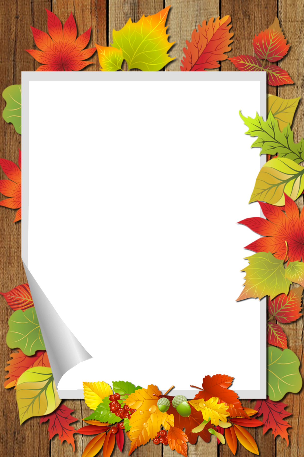 Autumn PNG frame. Flower background wallpaper, Old paper background, Butterfly art drawing