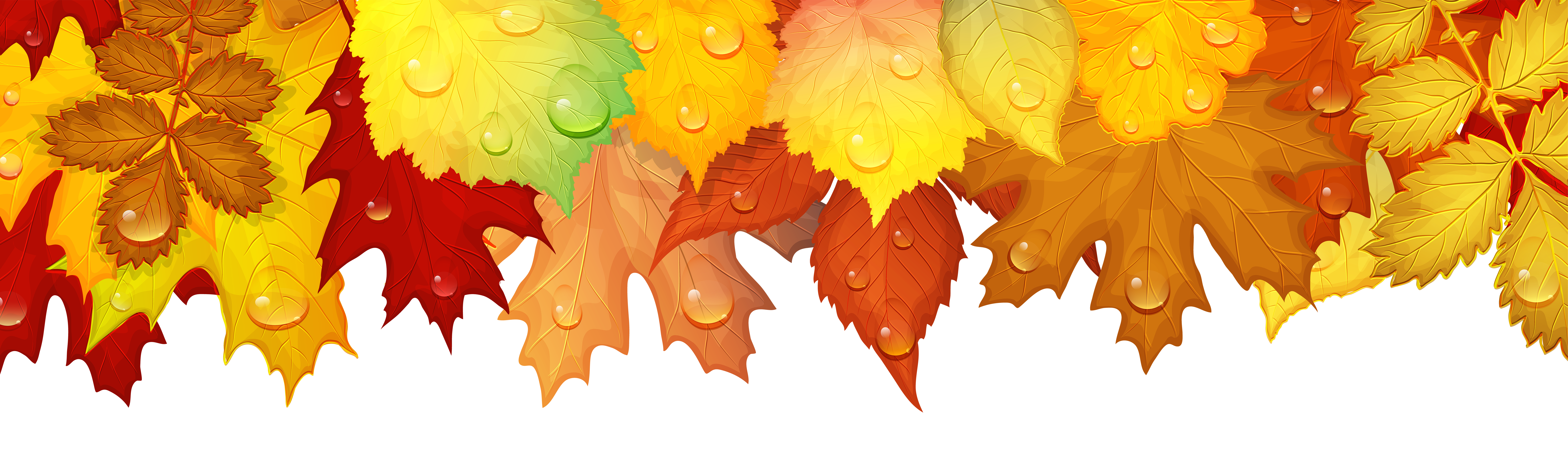 Fall Leaves Deco Border PNG Clip Art​-Quality Image and Transparent PNG Free Clipart