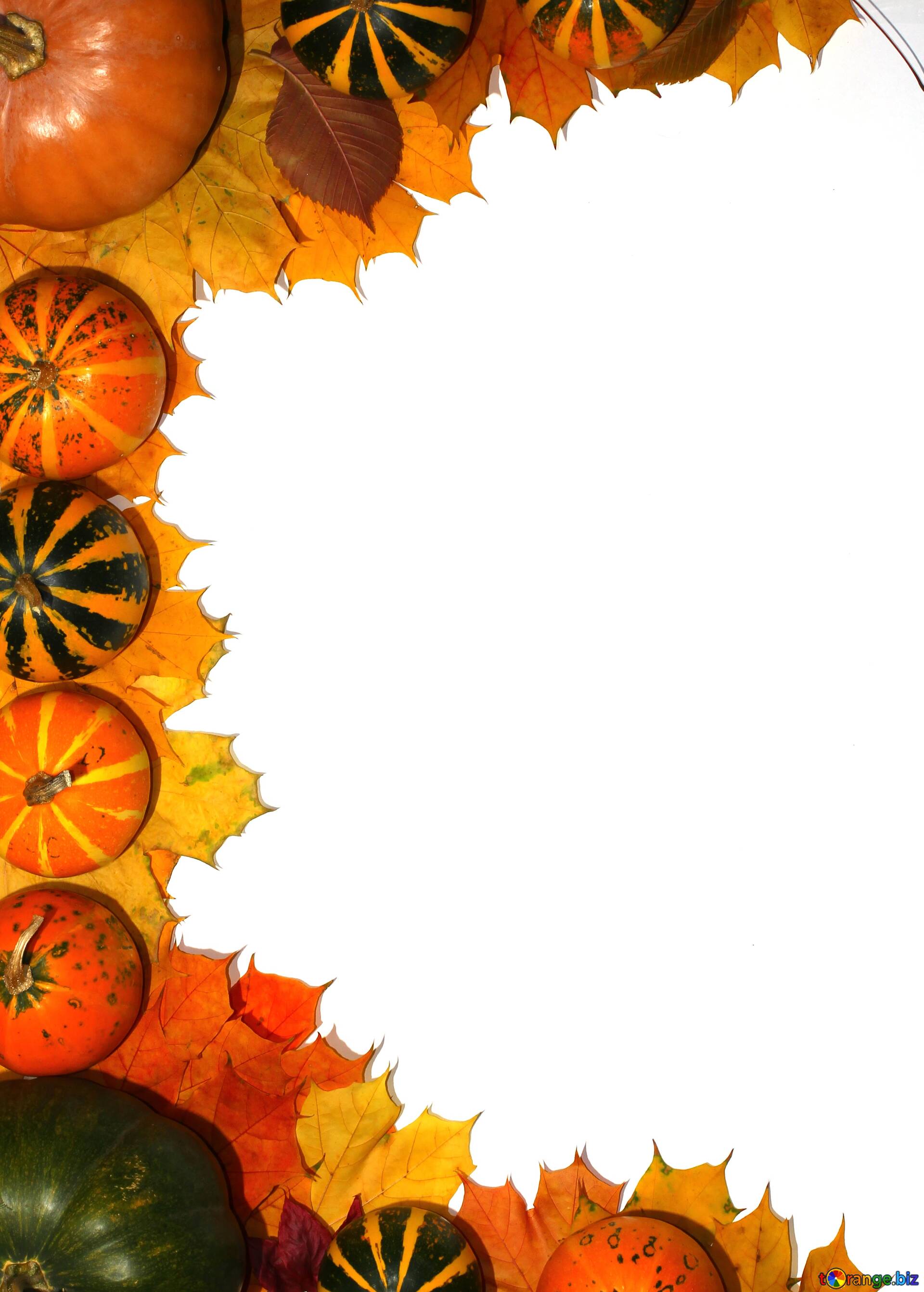 Download Free Picture Autumn Frame Border Pumpkins On CC BY License Free Image Stock TOrange.biz Fx №34704