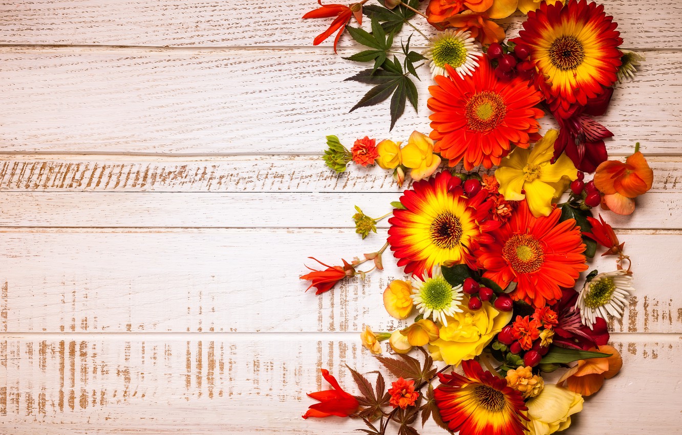Wallpaper autumn, leaves, flowers, wood, flowers, autumn, leaves, composition, frame, floral image for desktop, section цветы