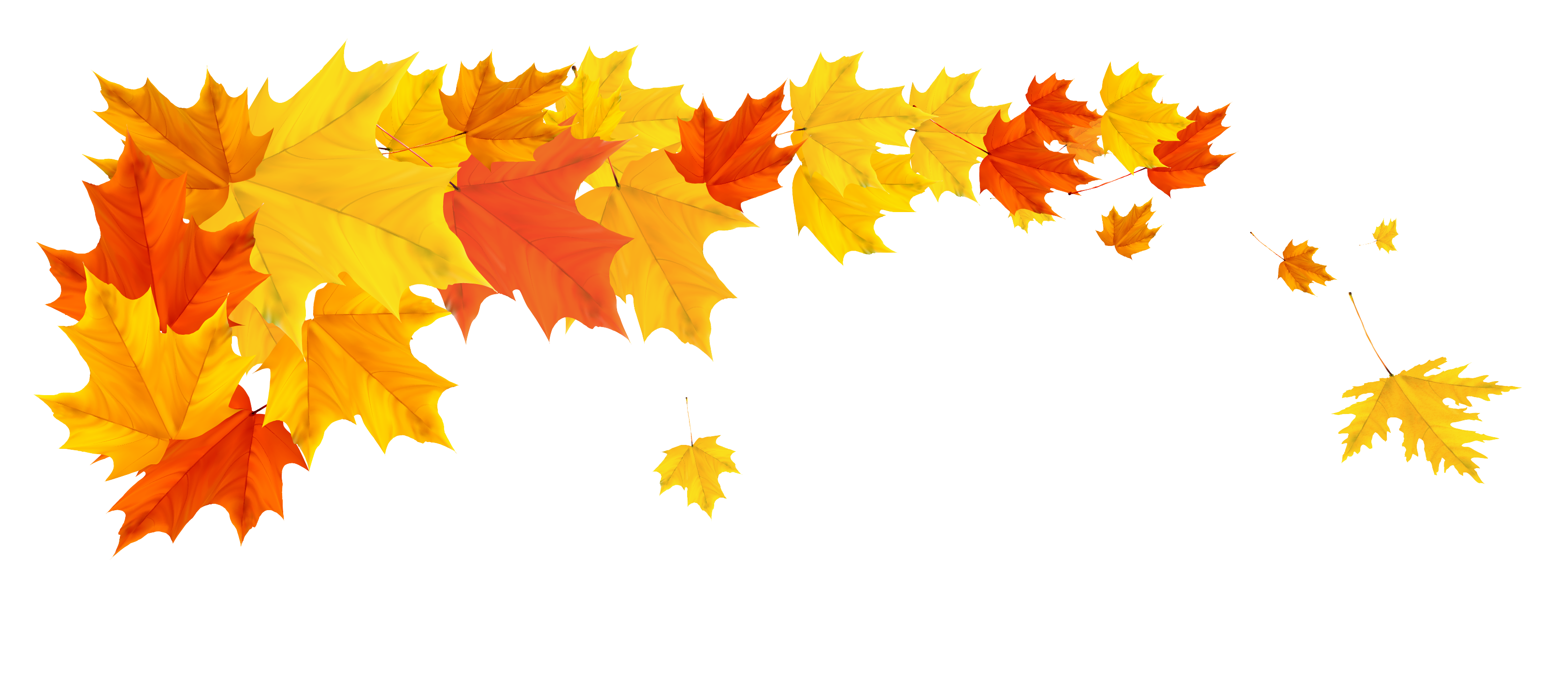 Orange Fall Leafs PNG Clipart Picture​-Quality Image and Transparent PNG Free Clip. Clip art, Free clip art, Desktop wallpaper fall
