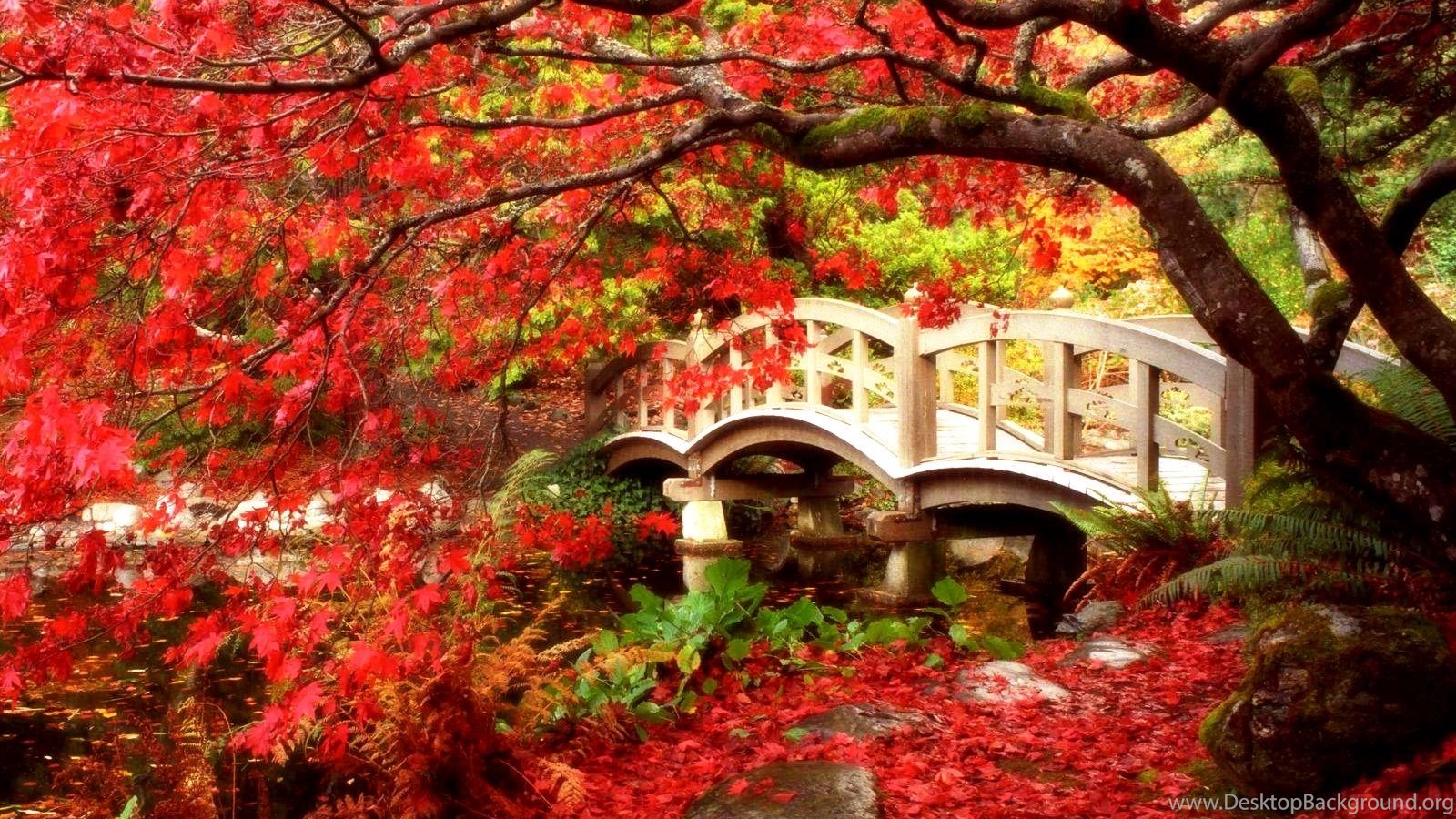 Free Fall Wallpaper Picture Fall Autumn Photo Of Free Fall. Desktop Background