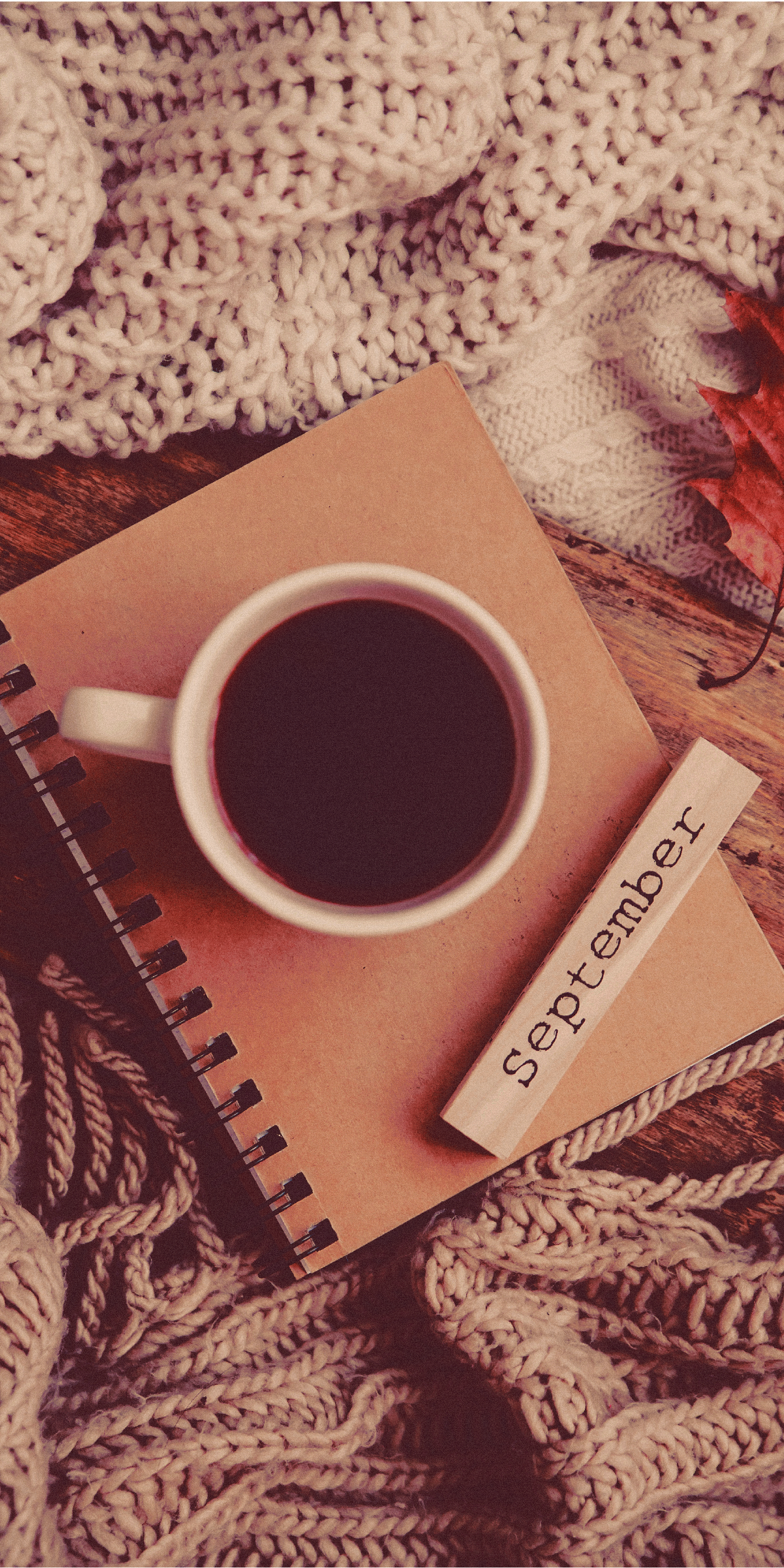 The ULTIMATE collection of aesthetic phone wallpaper (iPhone & Android )